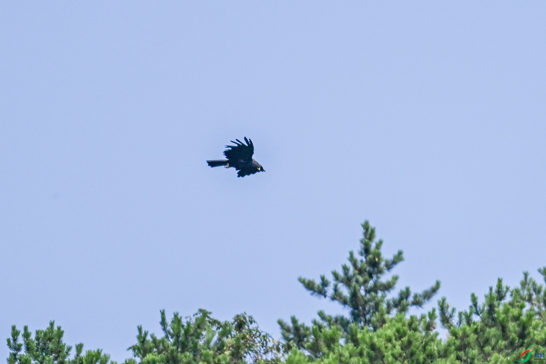 DSC_4402.JPG