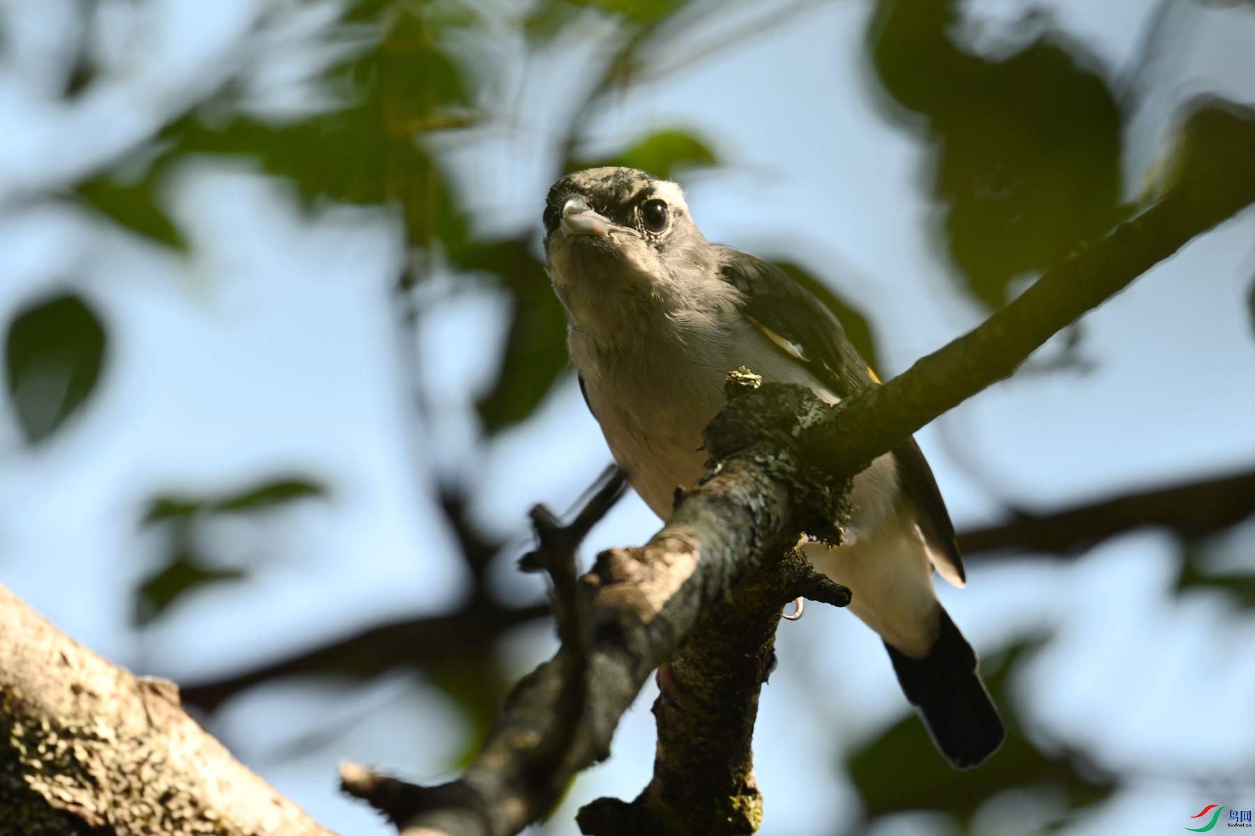 DSC_4392.JPG