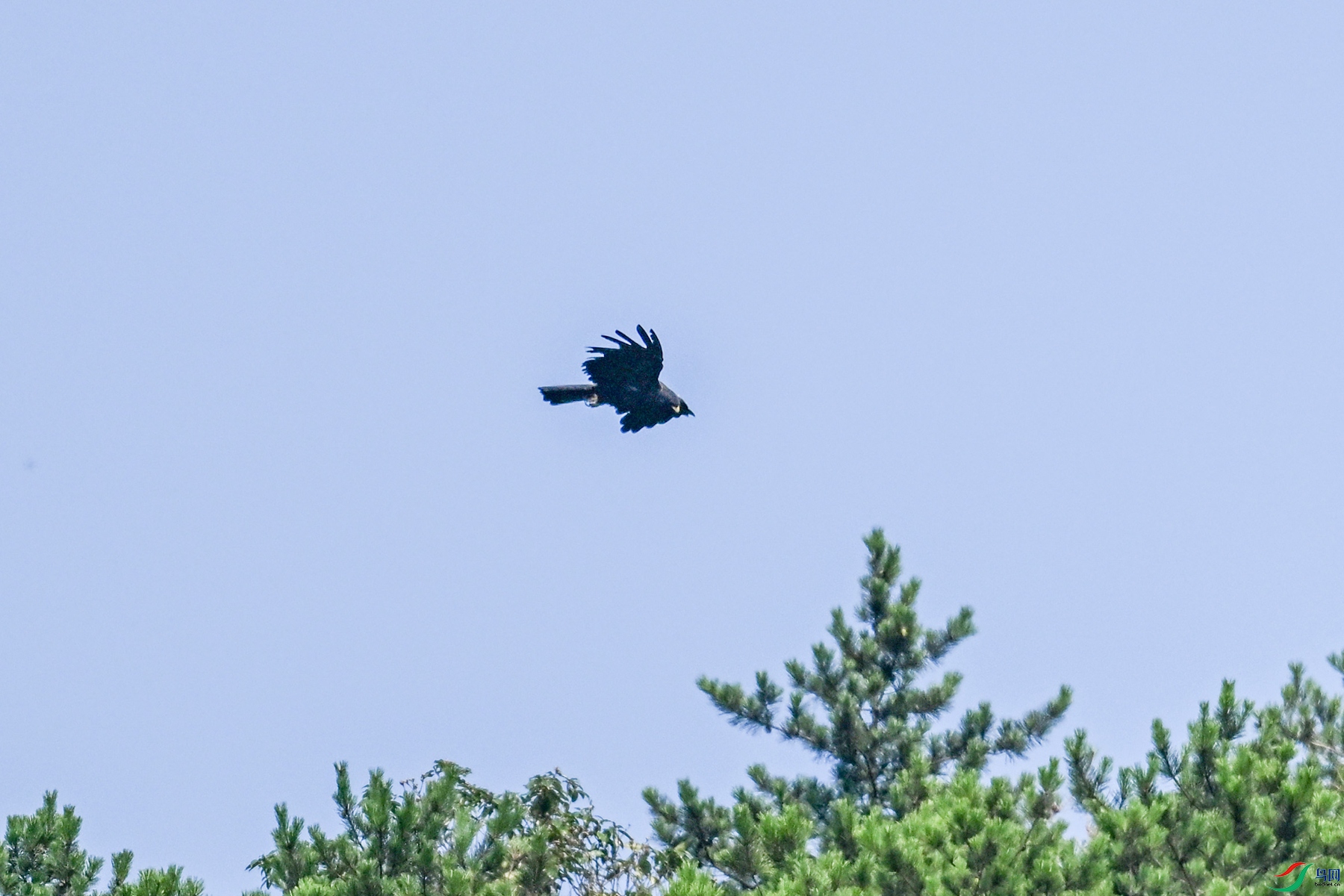 DSC_4403.JPG