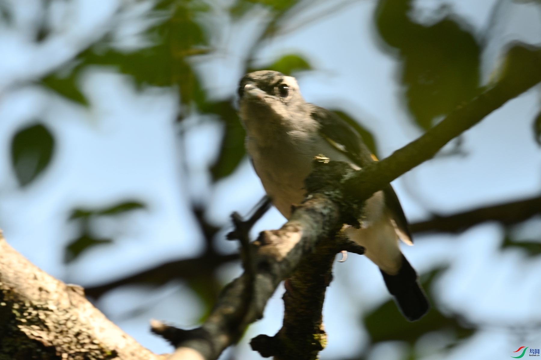 DSC_4393.JPG