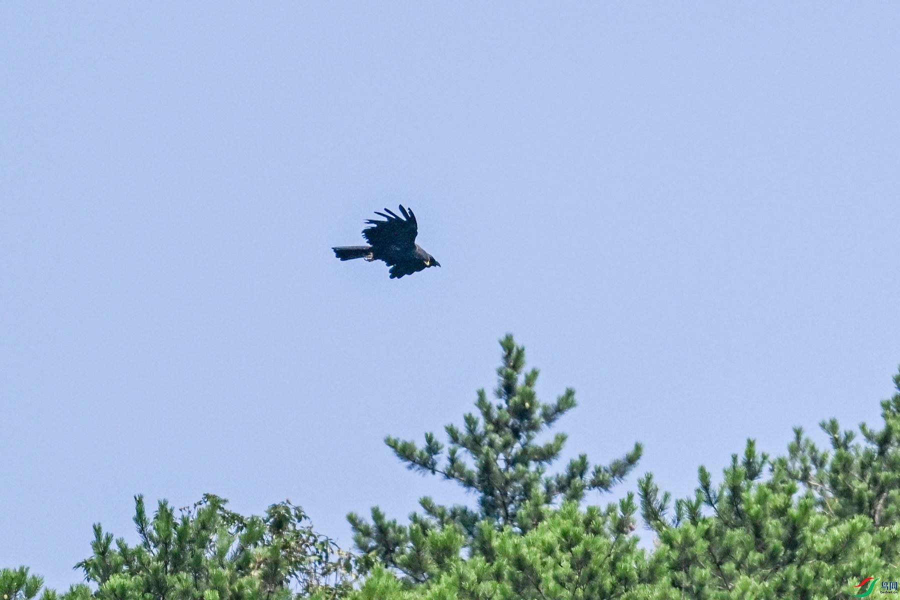 DSC_4404.JPG