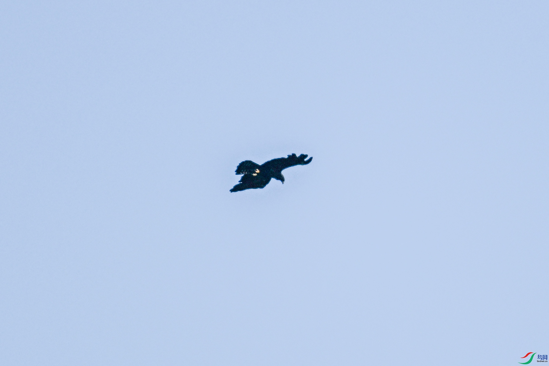 DSC_4405.JPG