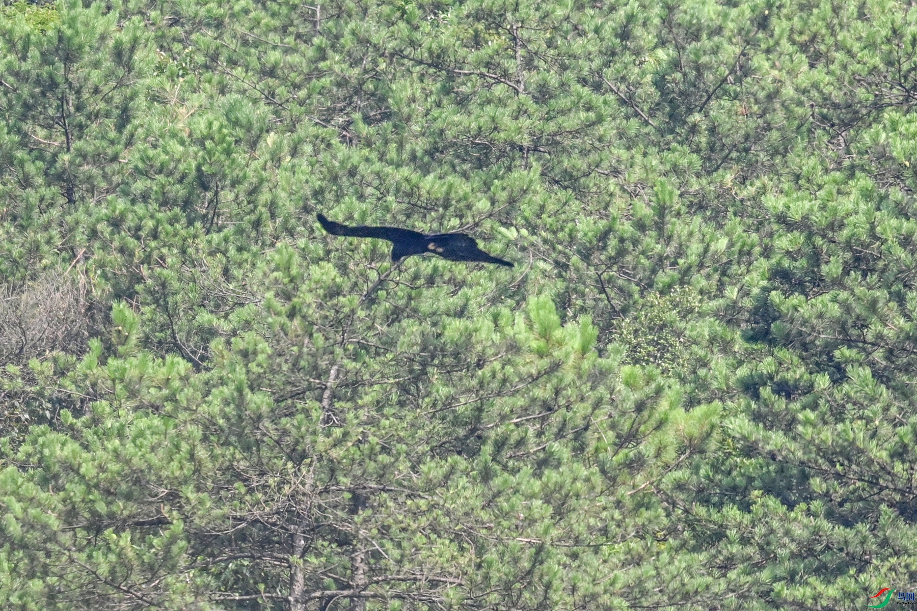 DSC_4426.JPG