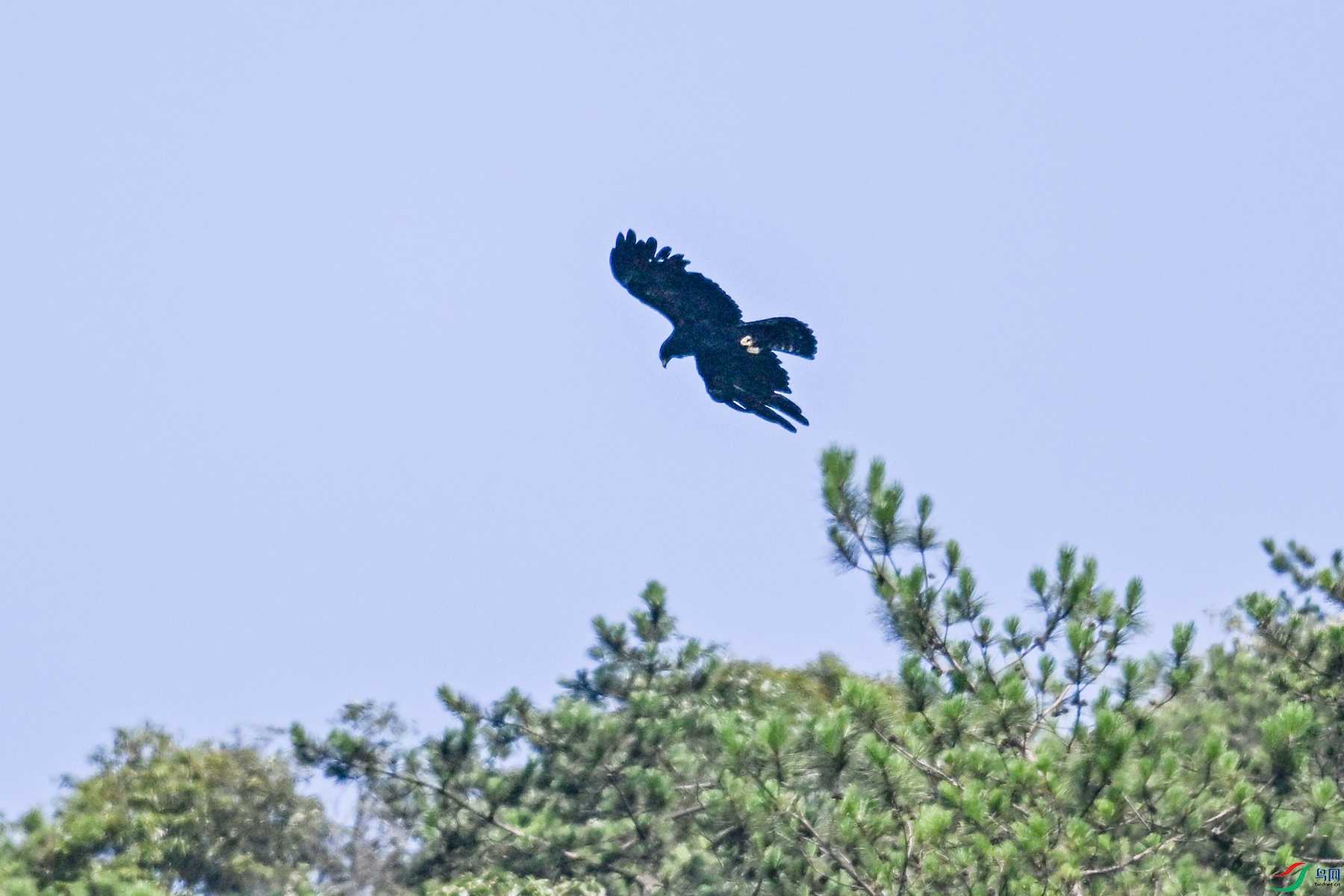 DSC_4423.JPG