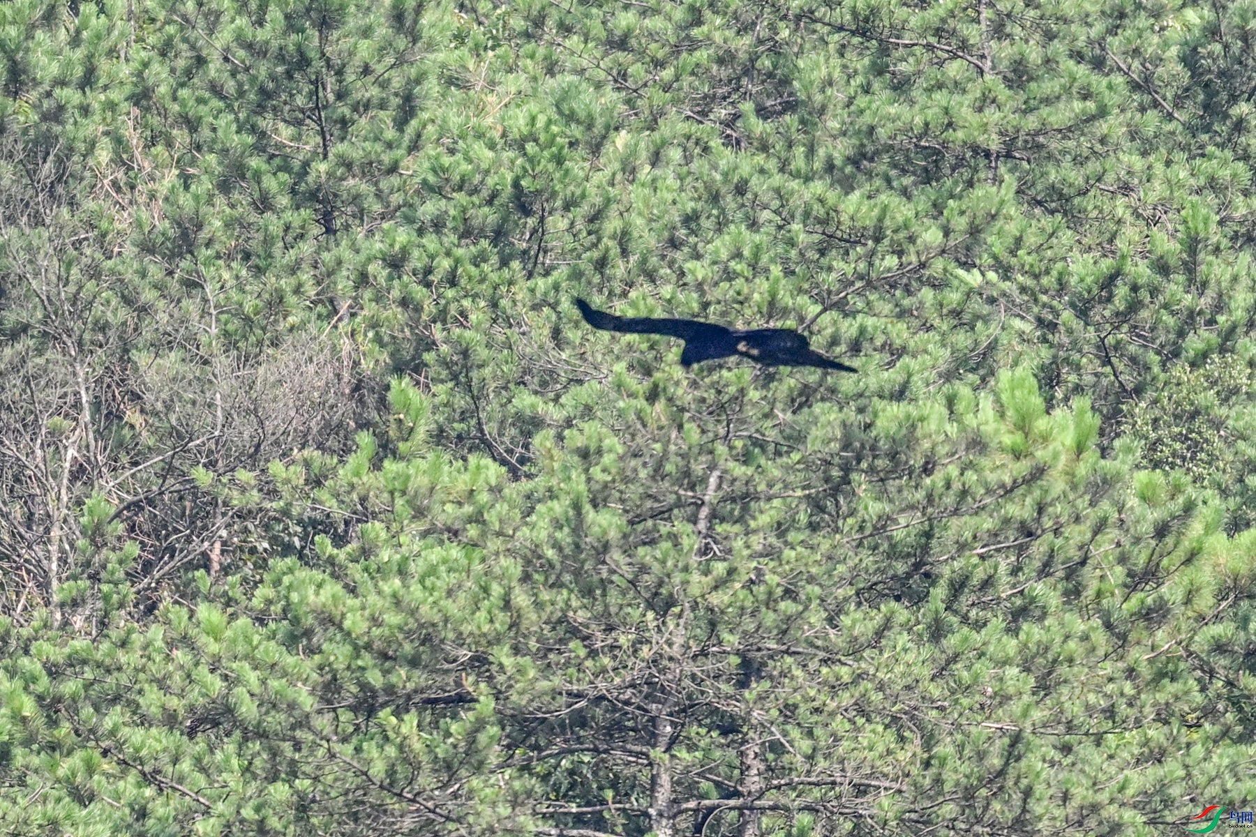 DSC_4428.JPG
