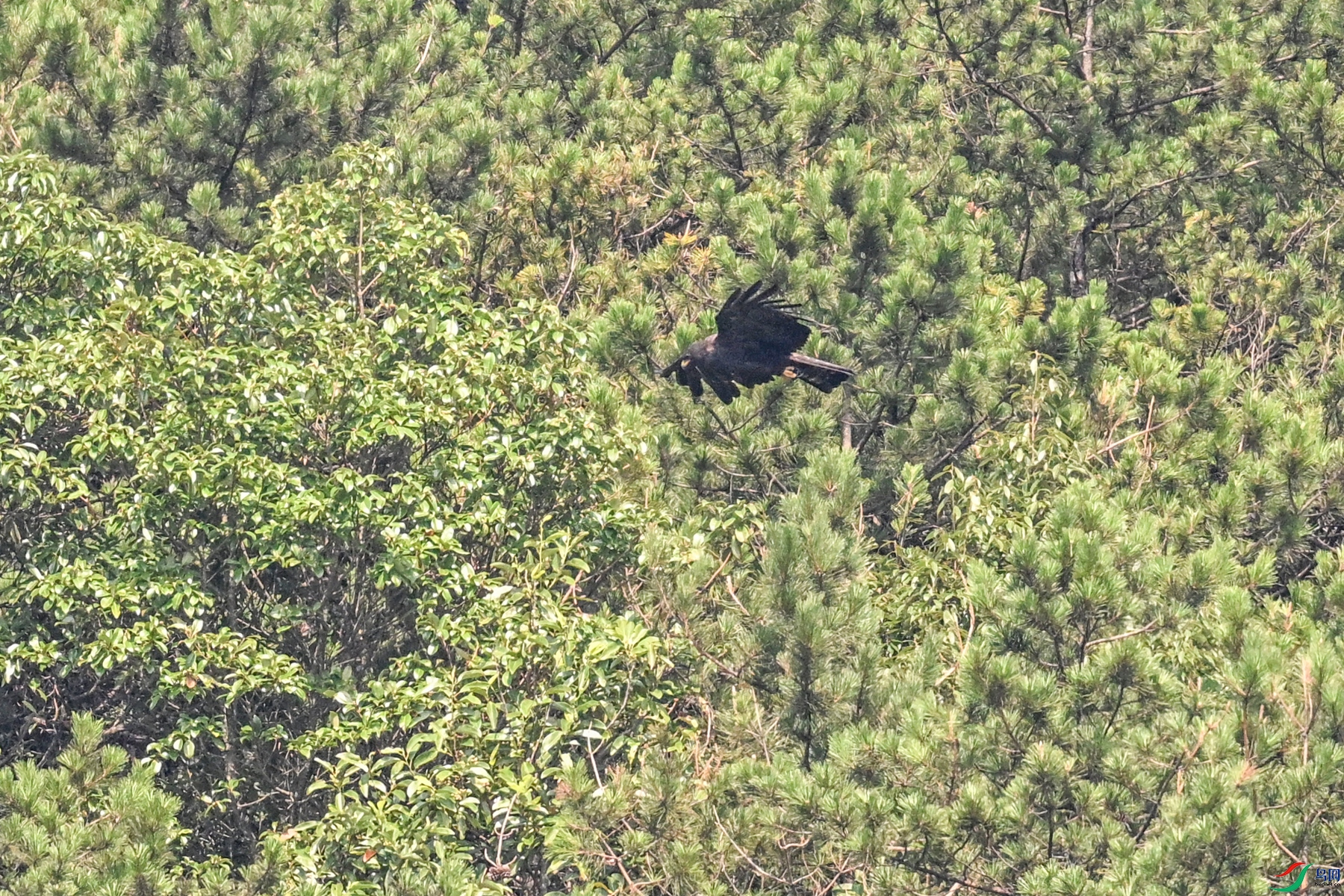 DSC_4430.JPG