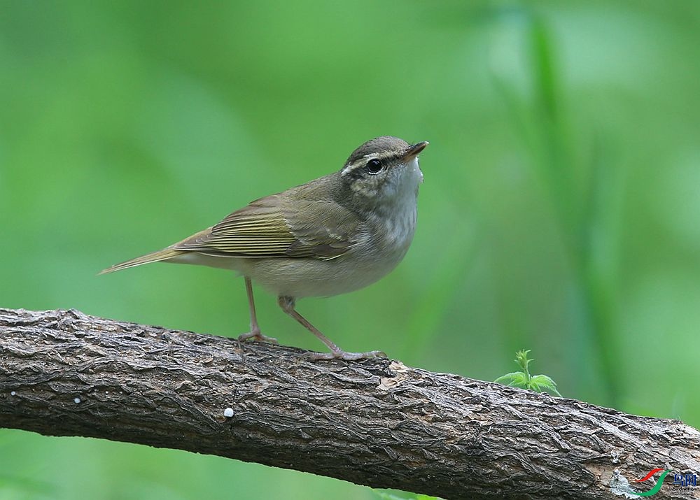 D72T7011.JPG