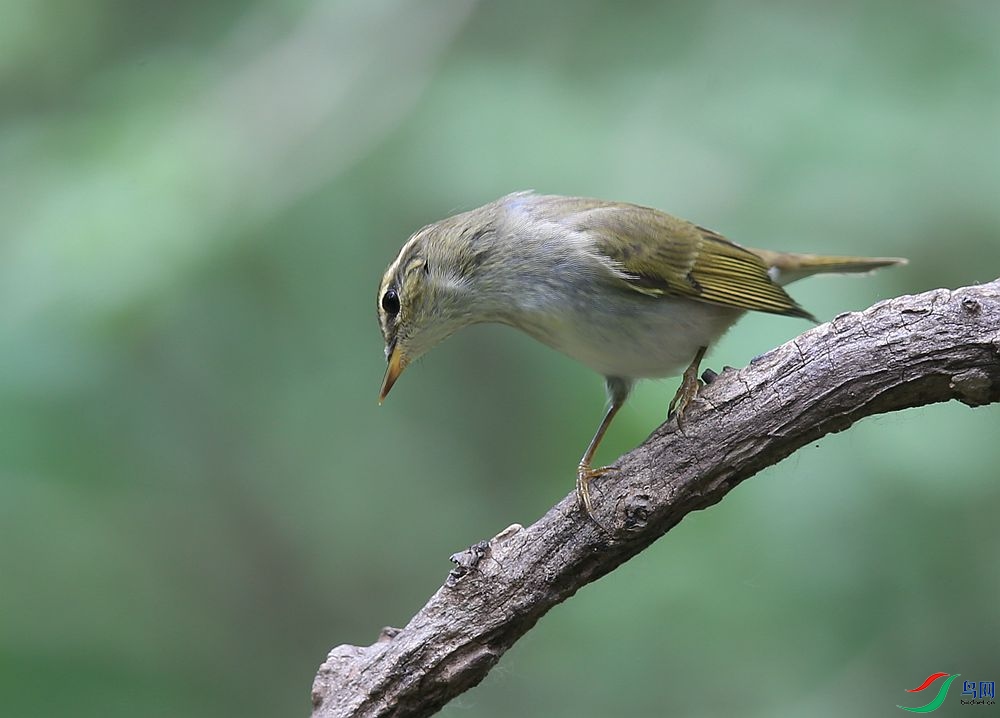 D72T7108.JPG