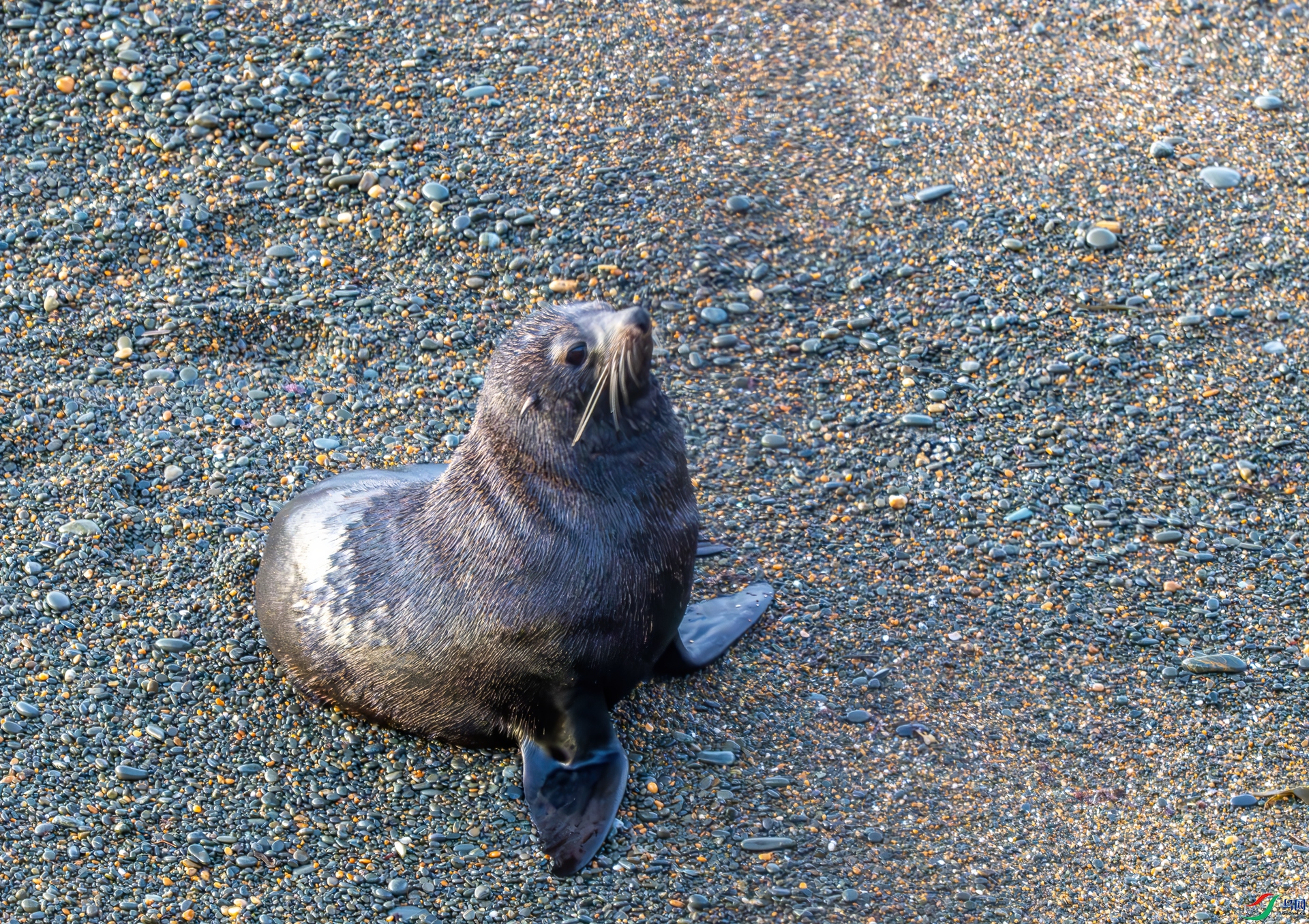 DSC_2720-1.jpg