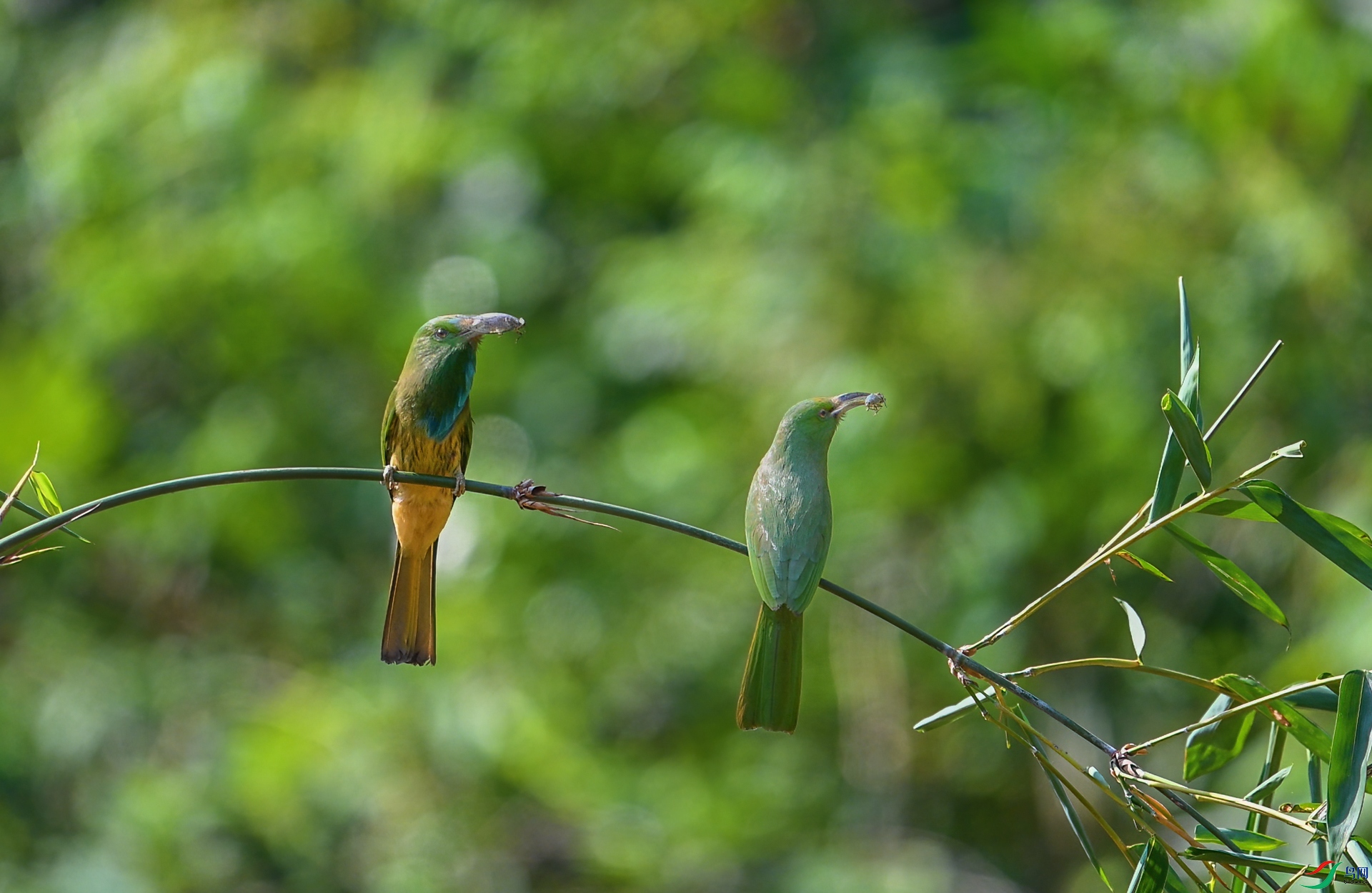 DSC_4130.jpg