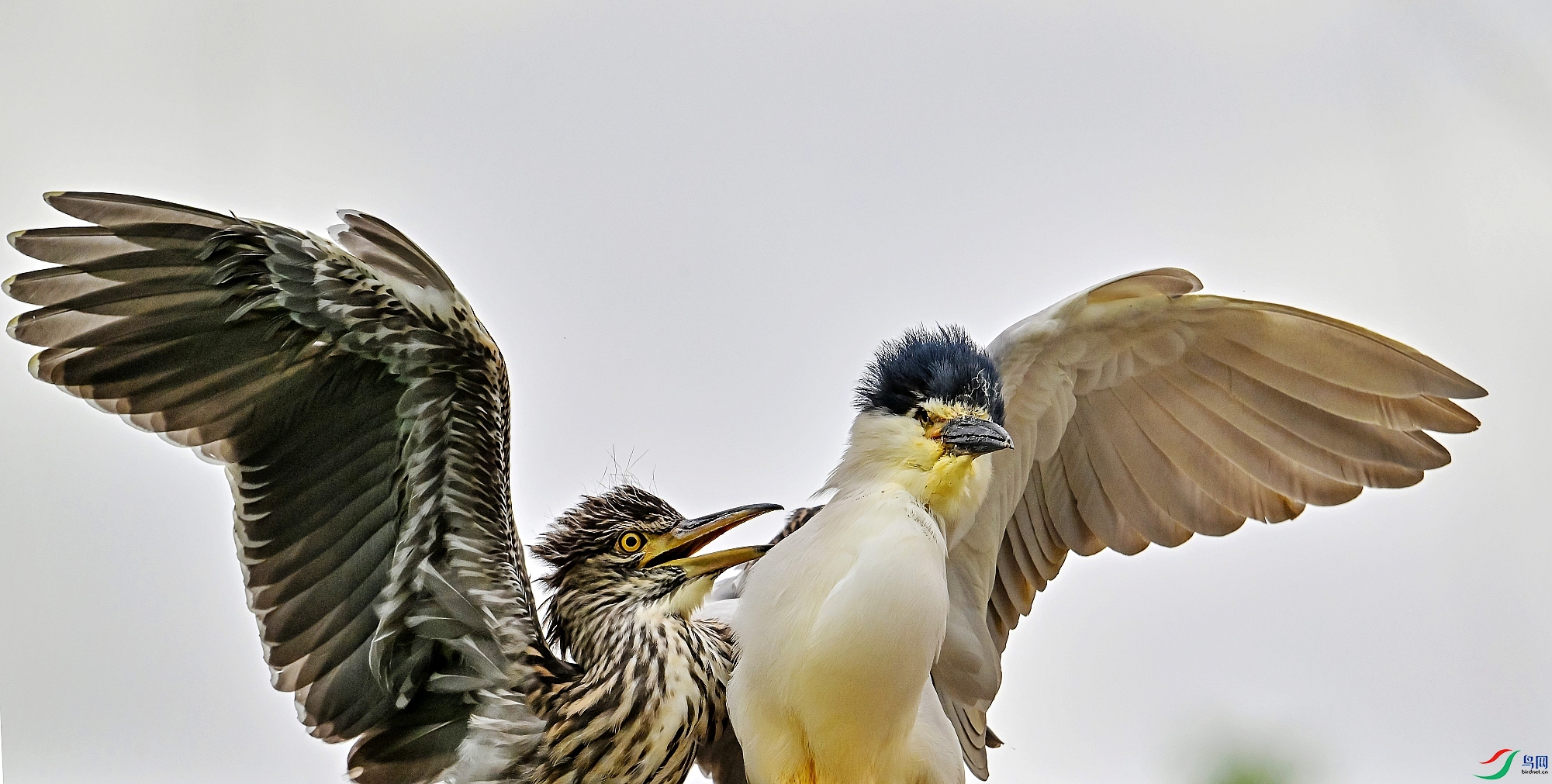 DSC_6220ĸ�ӻ���.jpg