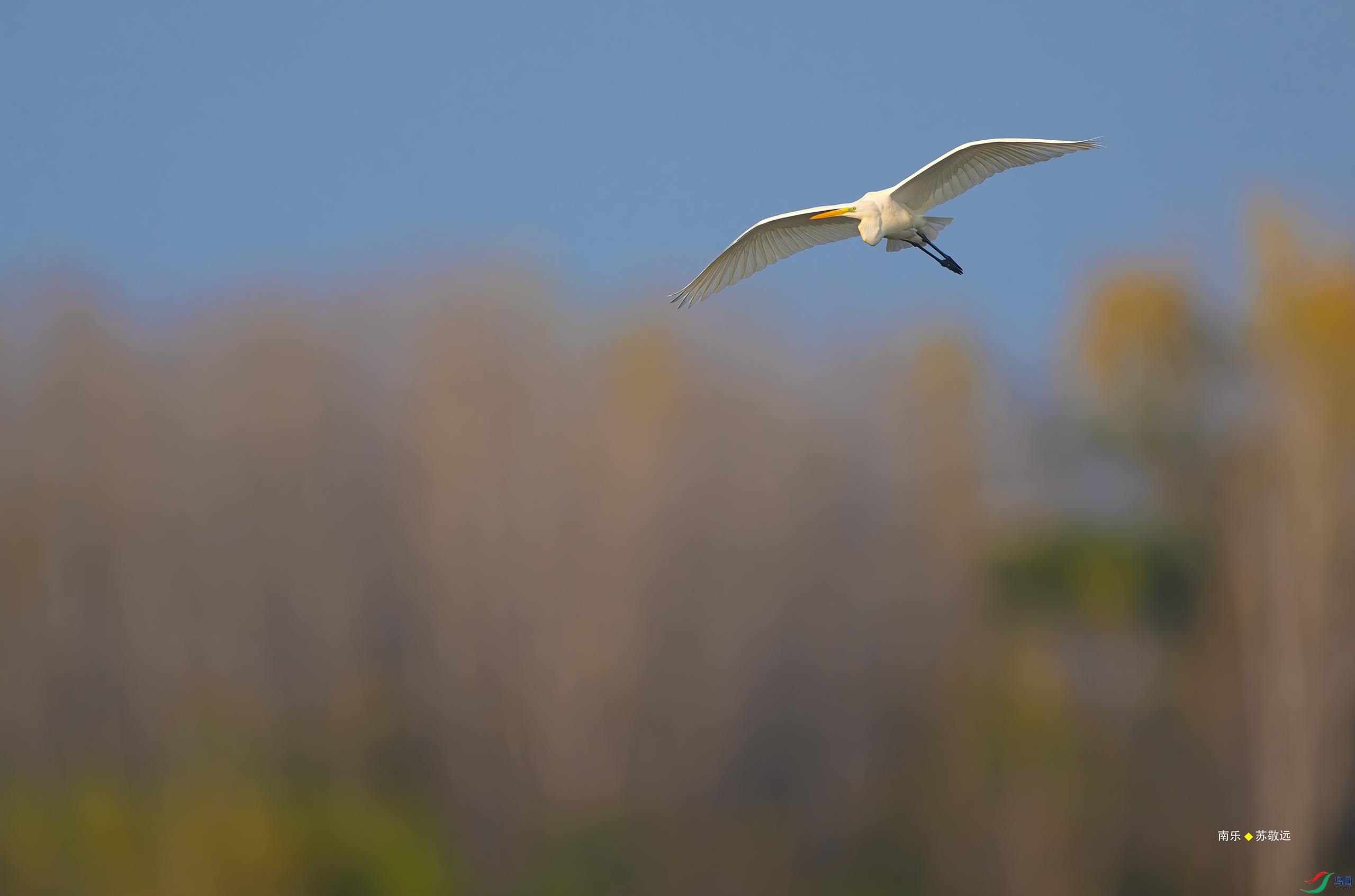 _DSC7137-DxO_С.jpg