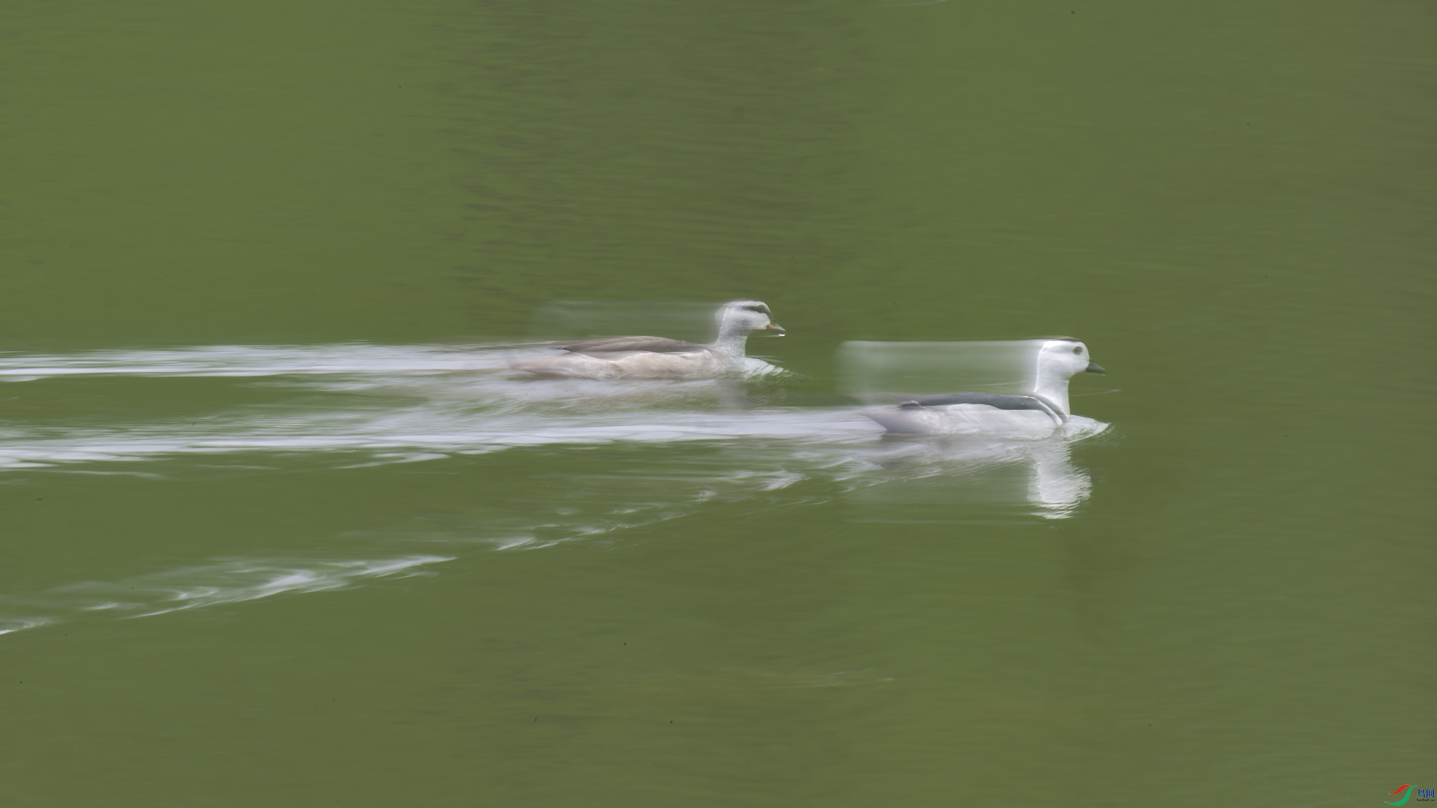 DSC_4527_DxO.jpg