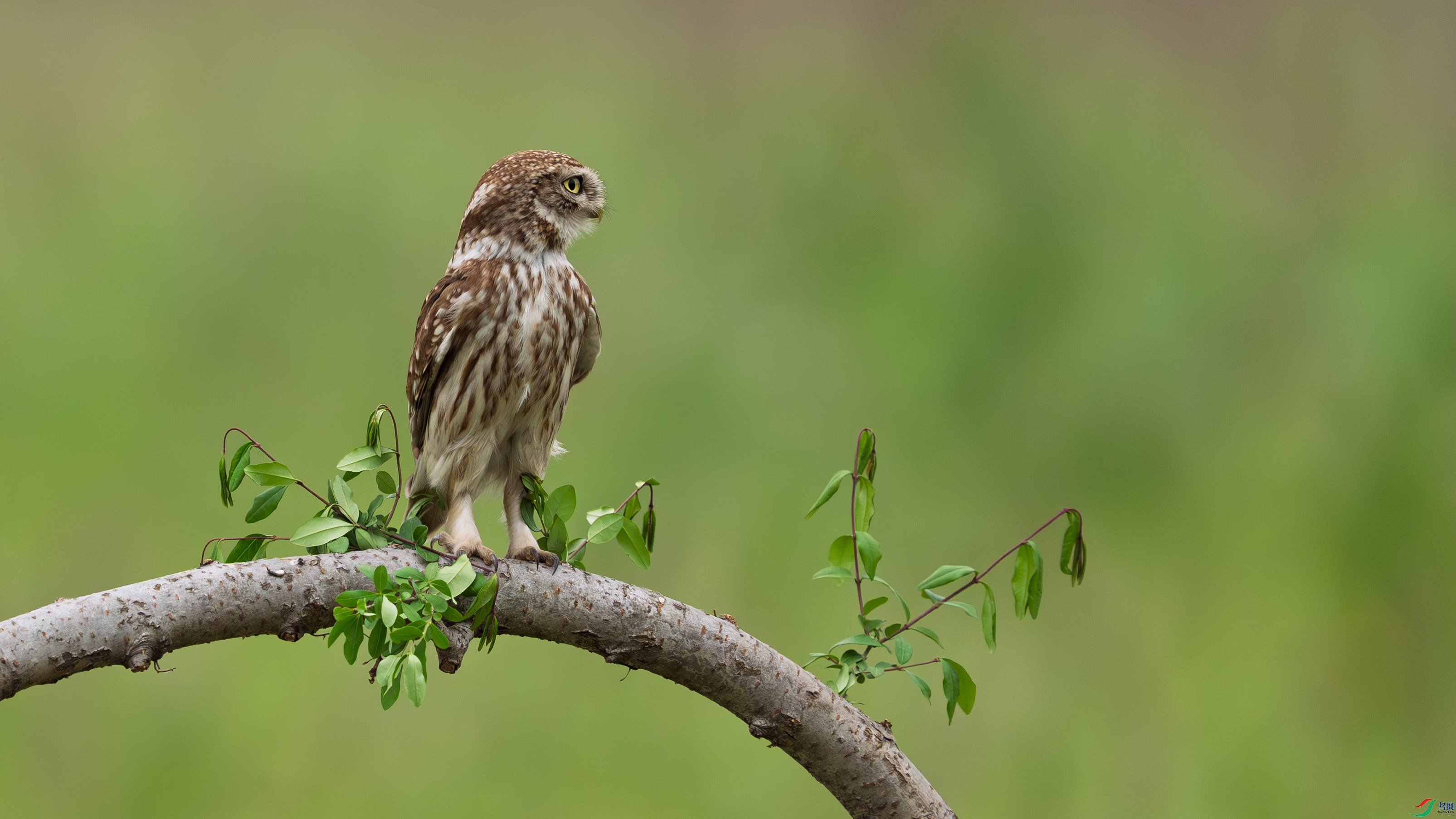 DSC01378-1.jpg