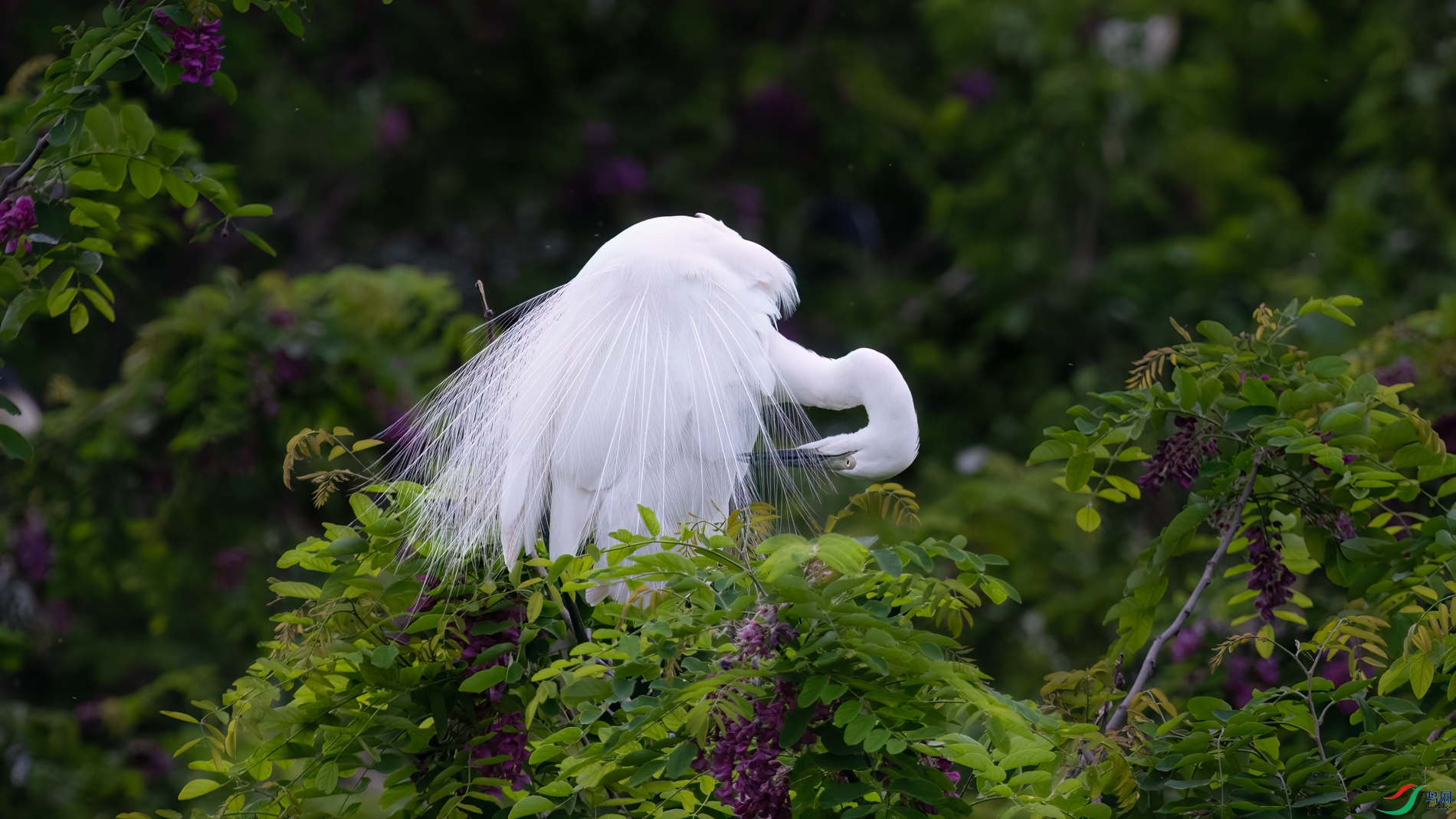 DSC_2172sen2026-5-10-289-�༭.jpg