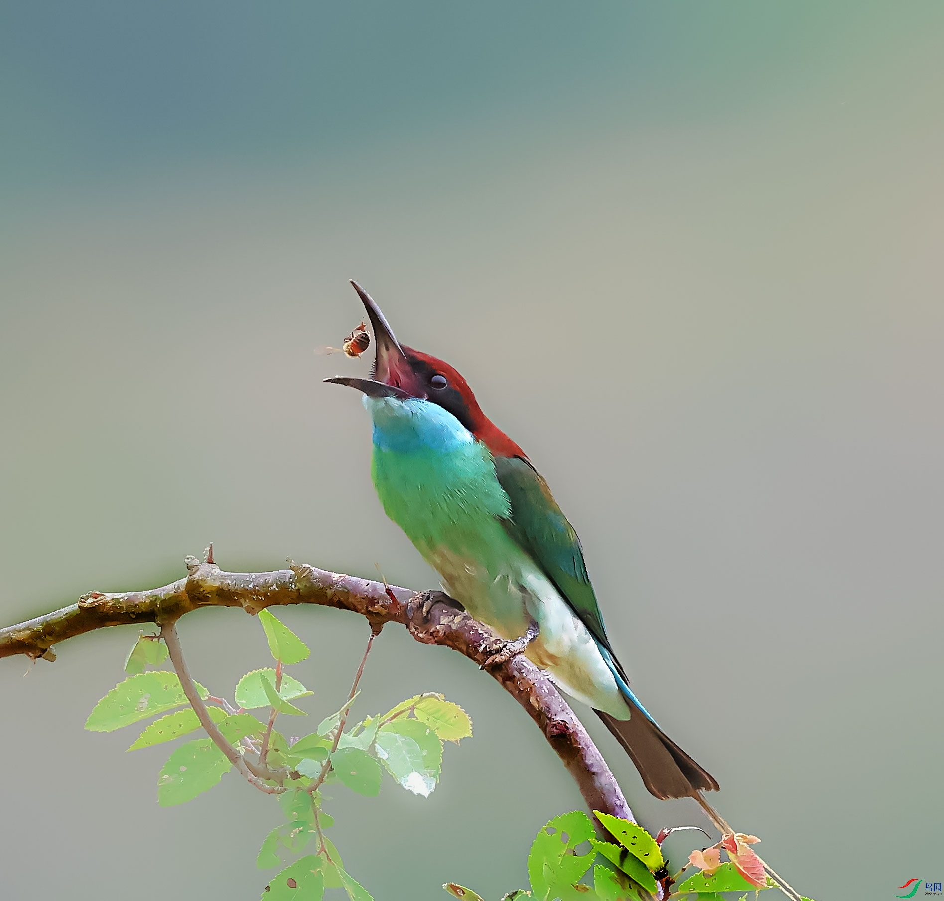9S8A6830a.jpg