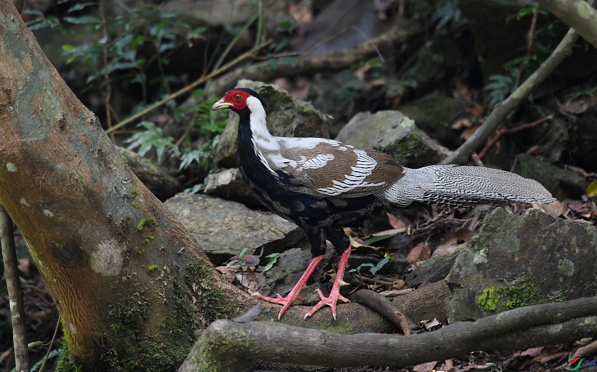 DSC_8022.jpg
