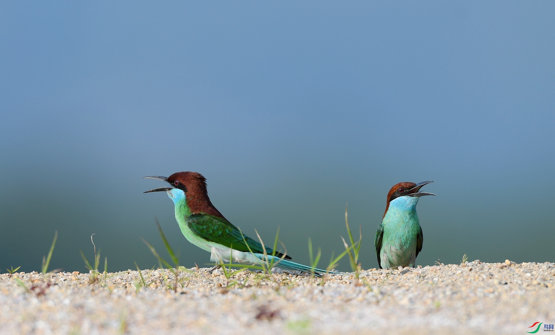 DSC_5467.jpg