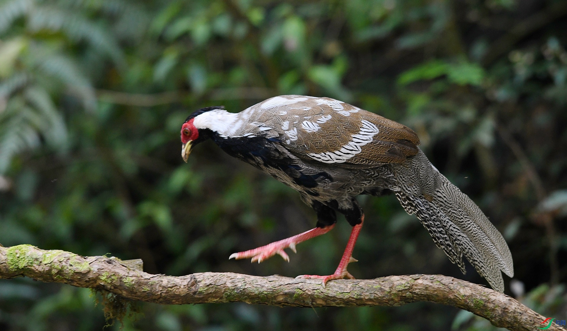 DSC_5947.jpg
