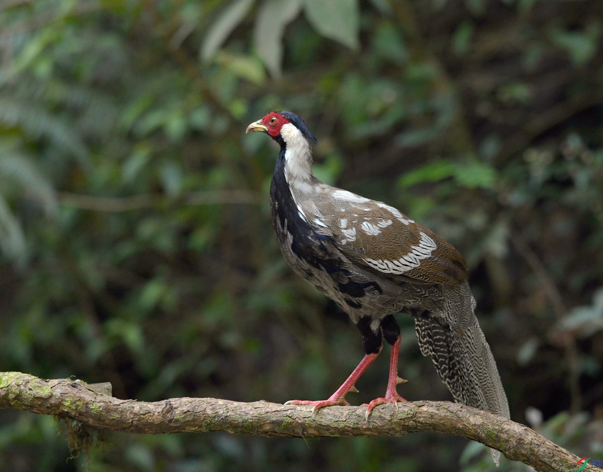 DSC_5944.jpg
