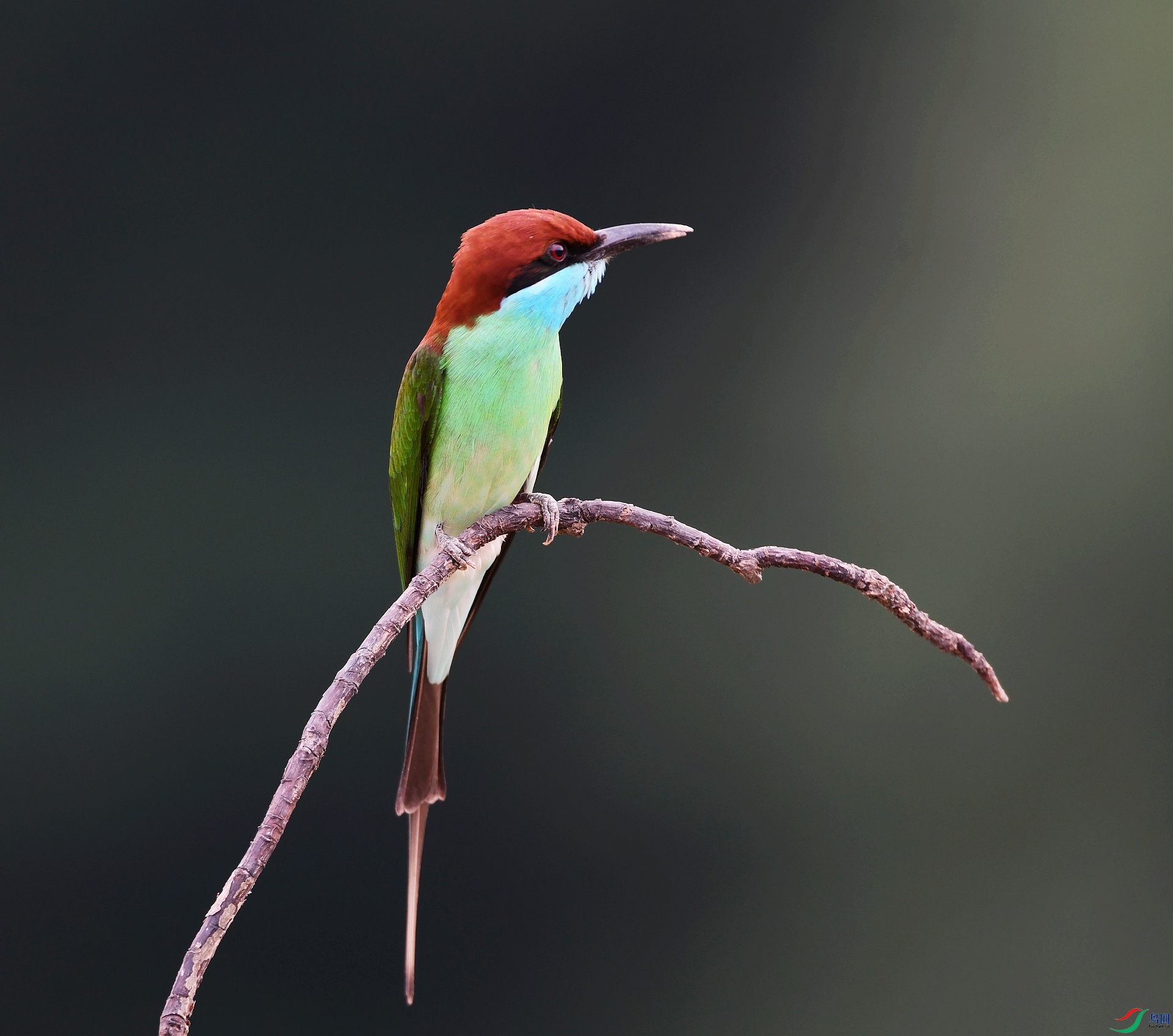 DSC_7862.jpg