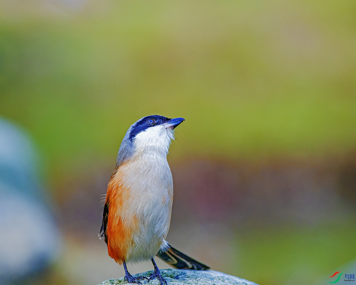 DSC_5182.jpg