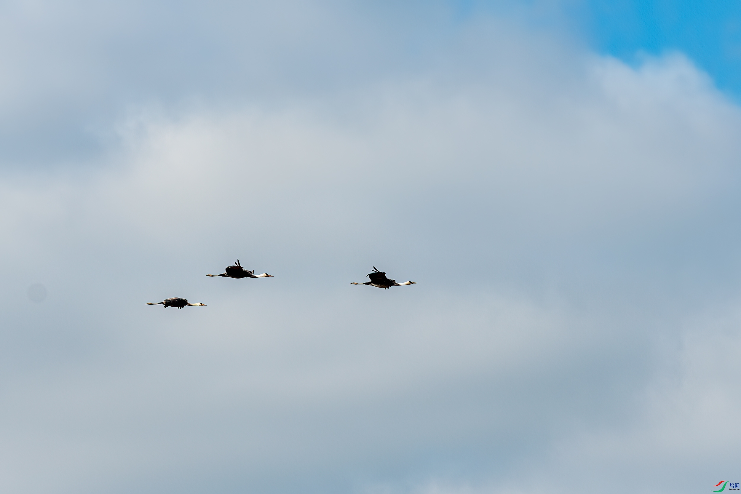 DSC_2647-11.jpg
