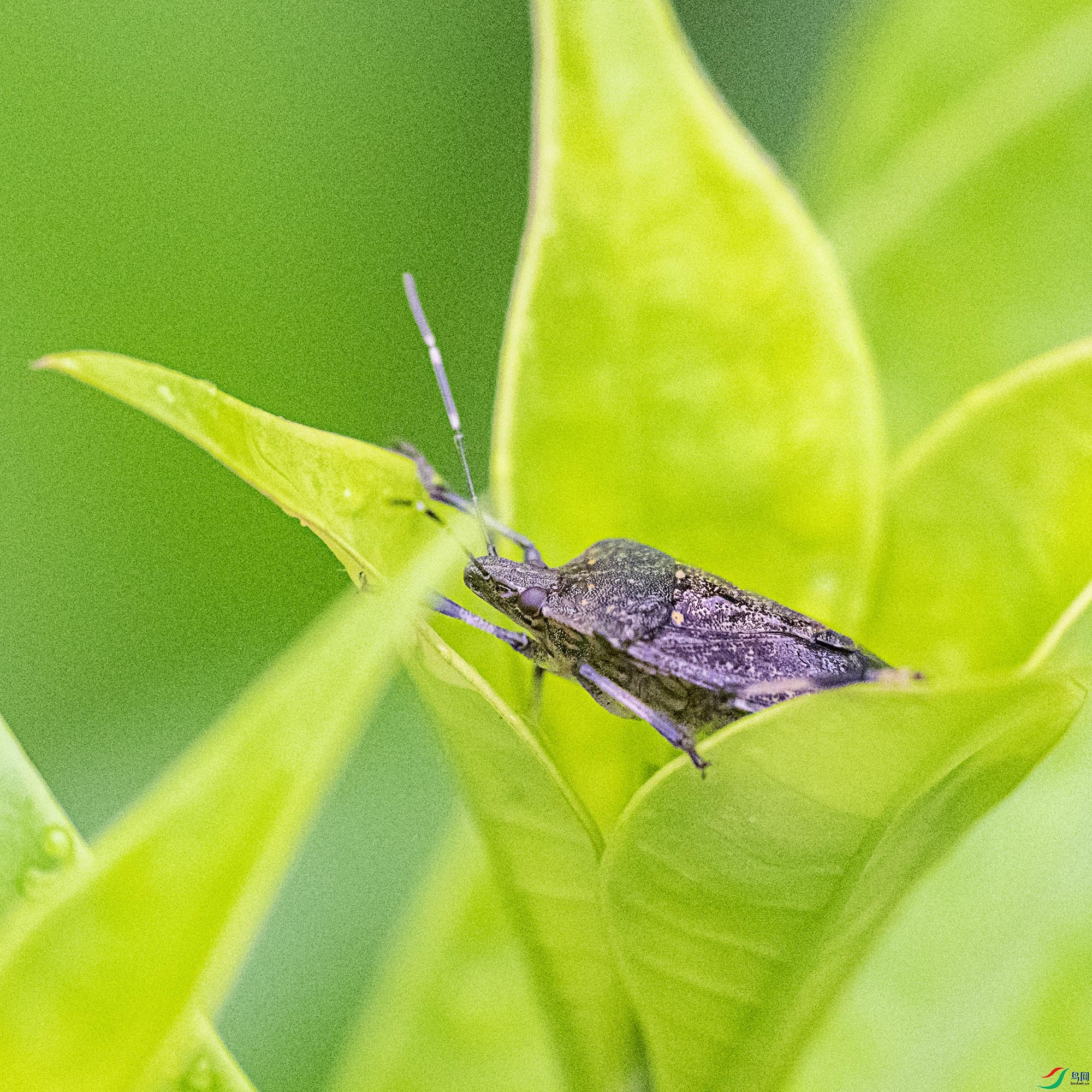 DSC_6751.jpg