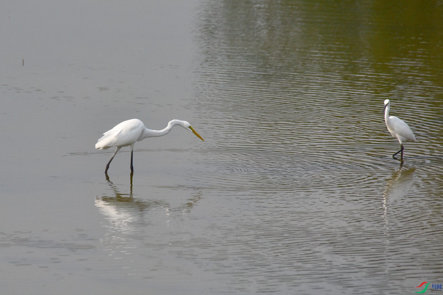 DSC_4055.JPG