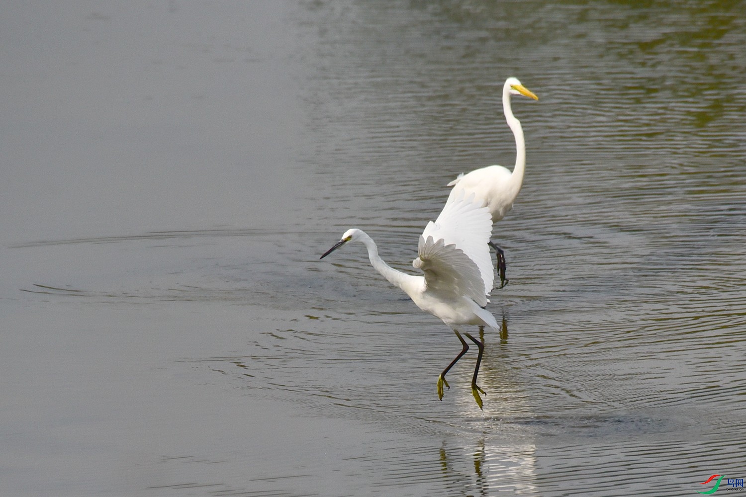 DSC_4056.JPG