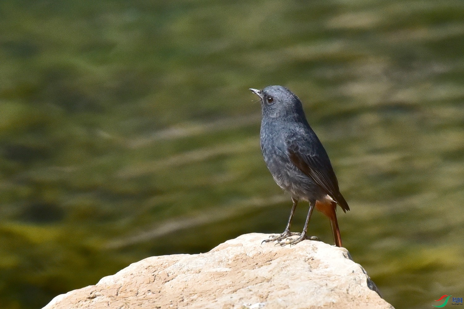 DSC_7374.JPG
