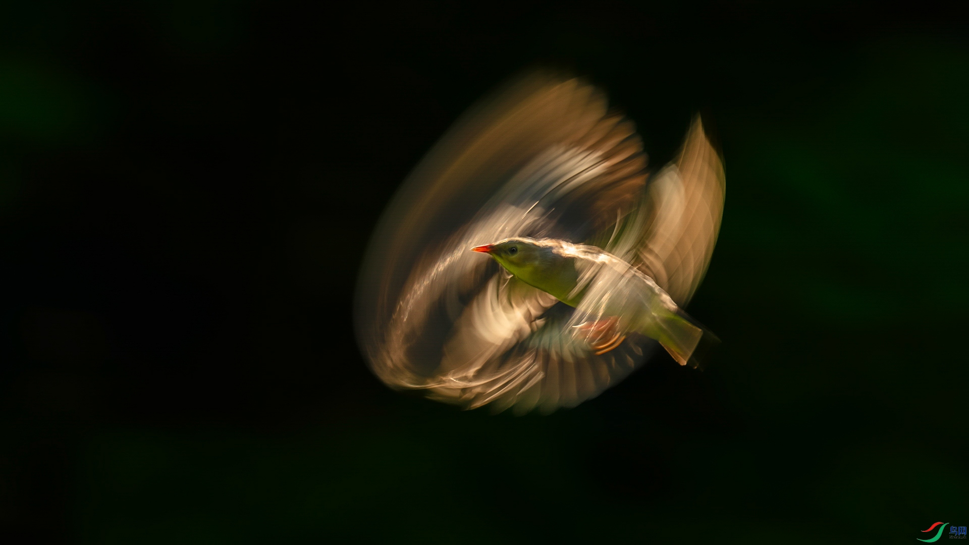 ���