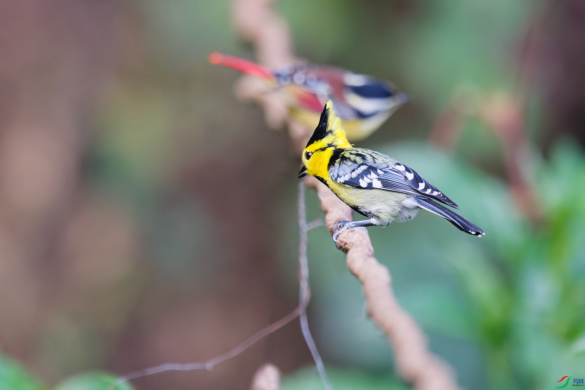 DSC_2921_DxO_DxOa.jpg