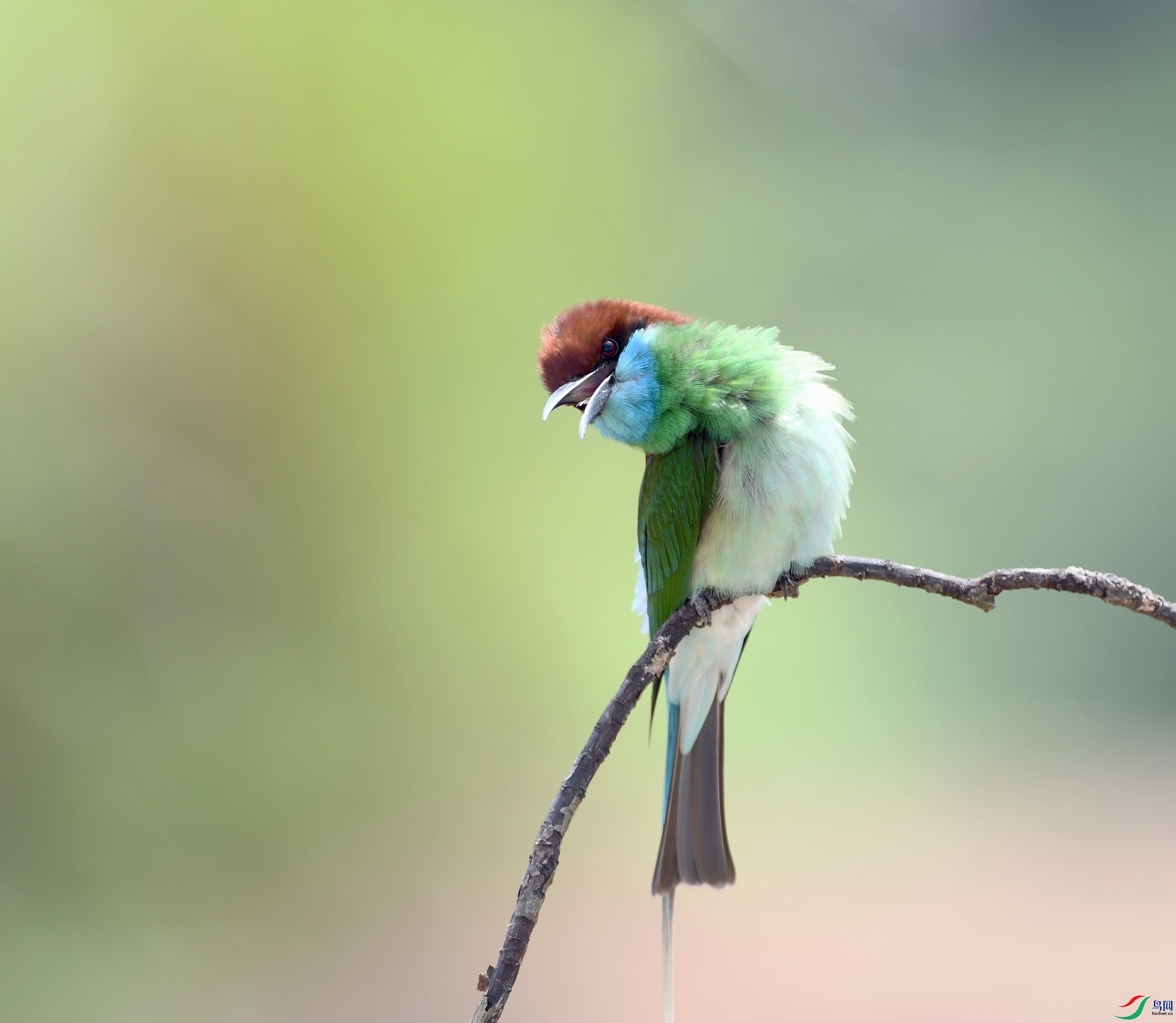 DSC_7666.jpg