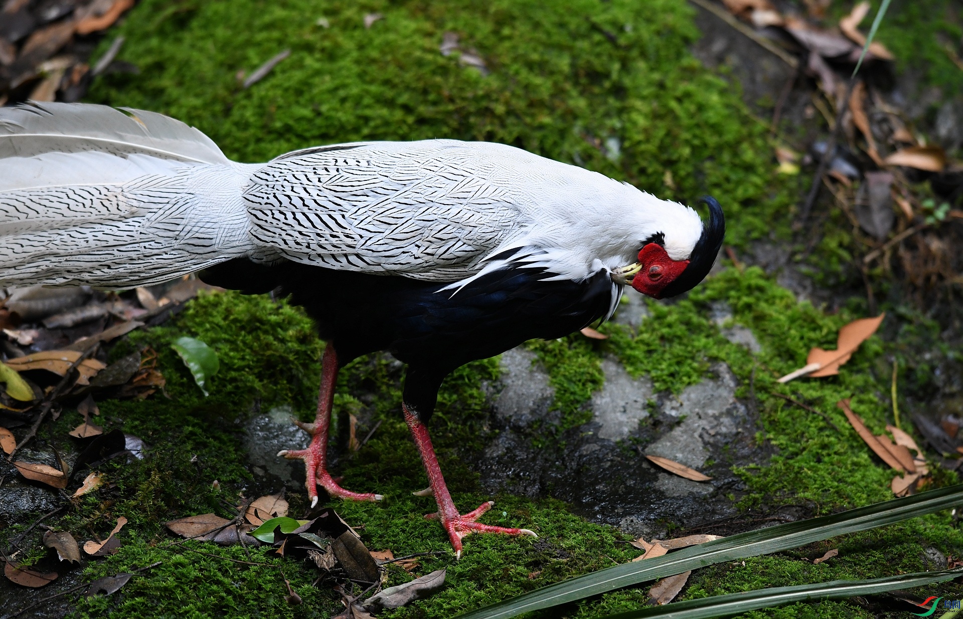 DSC_5542.jpg