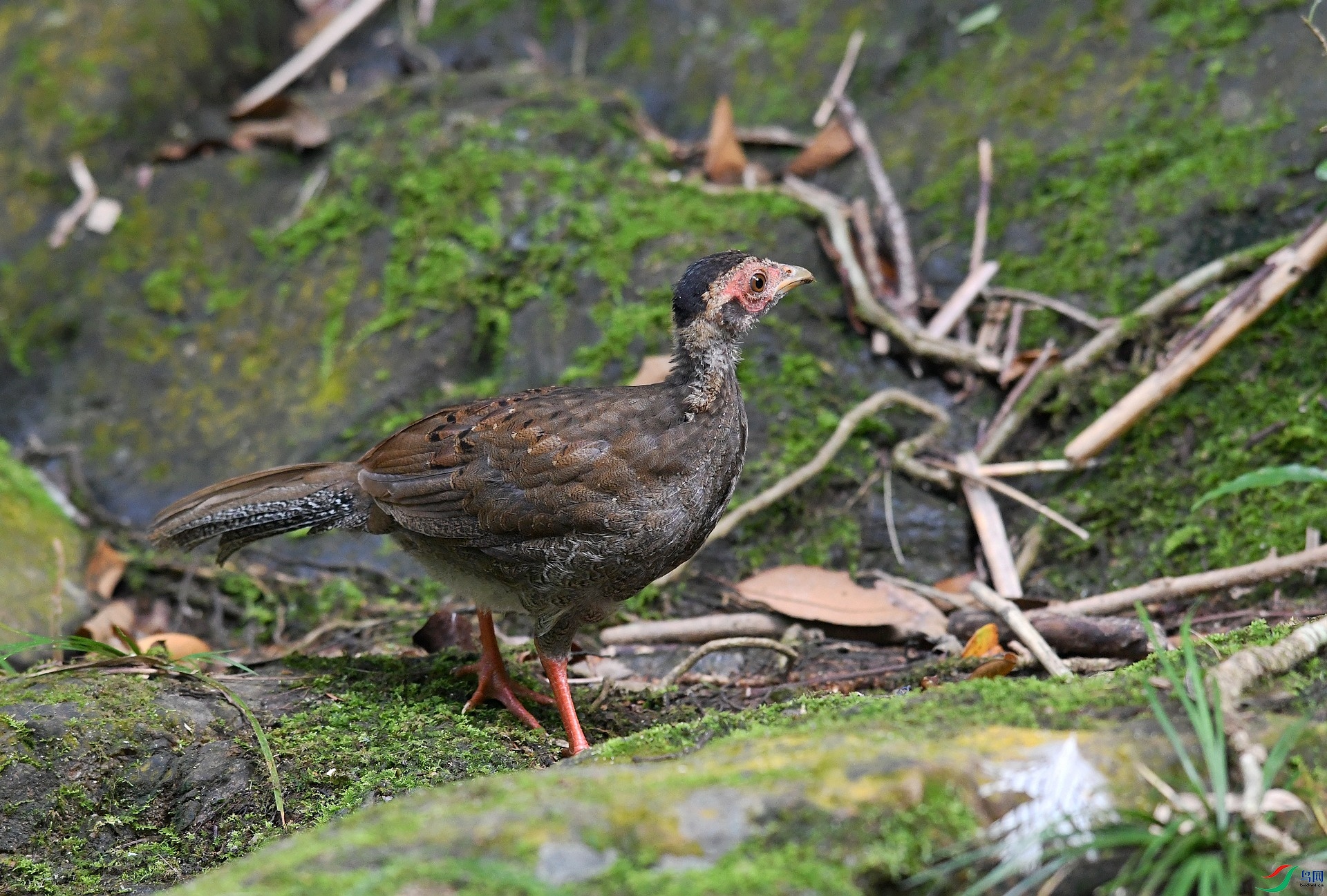 DSC_7989.jpg