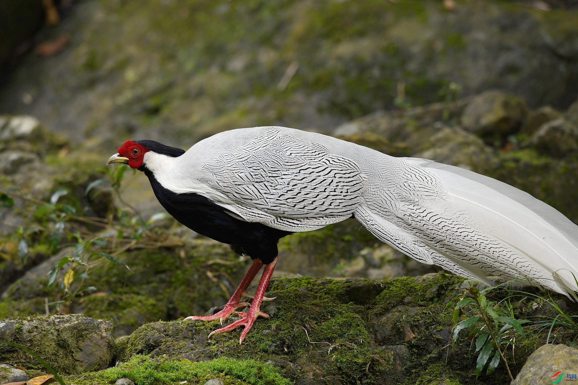 DSC_5080.jpg