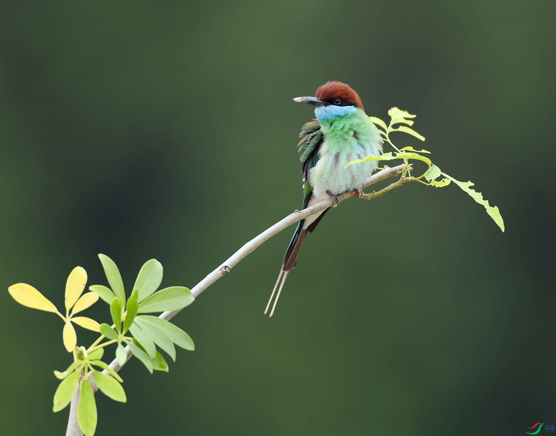 DSC_5972.jpg
