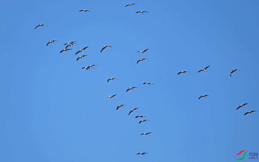 DSCF9355.1.jpg