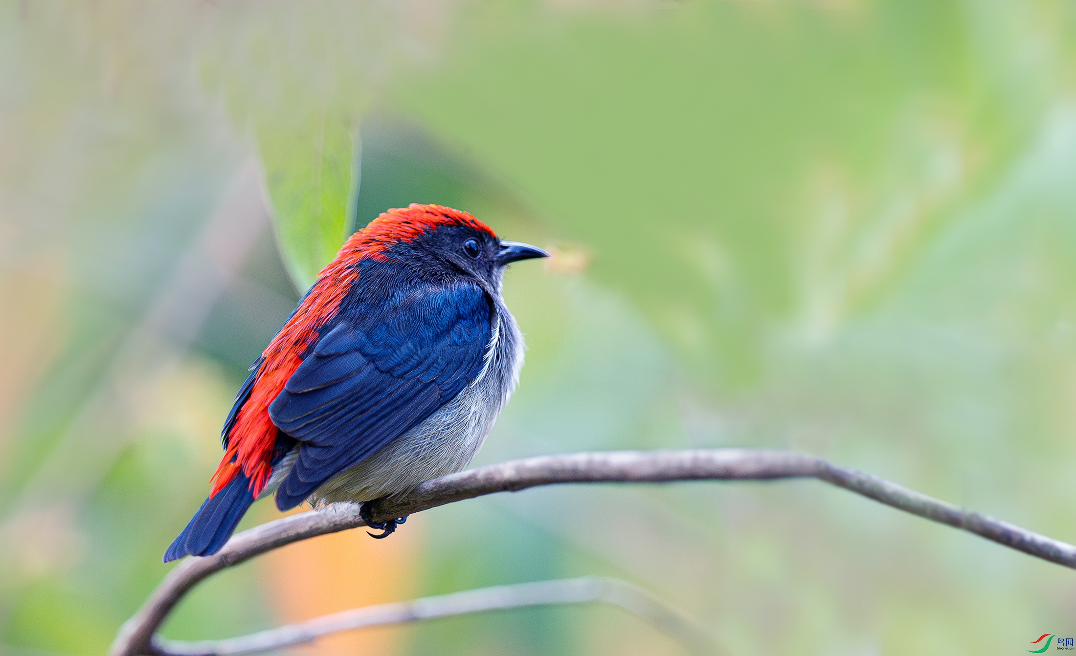 A0918.jpg