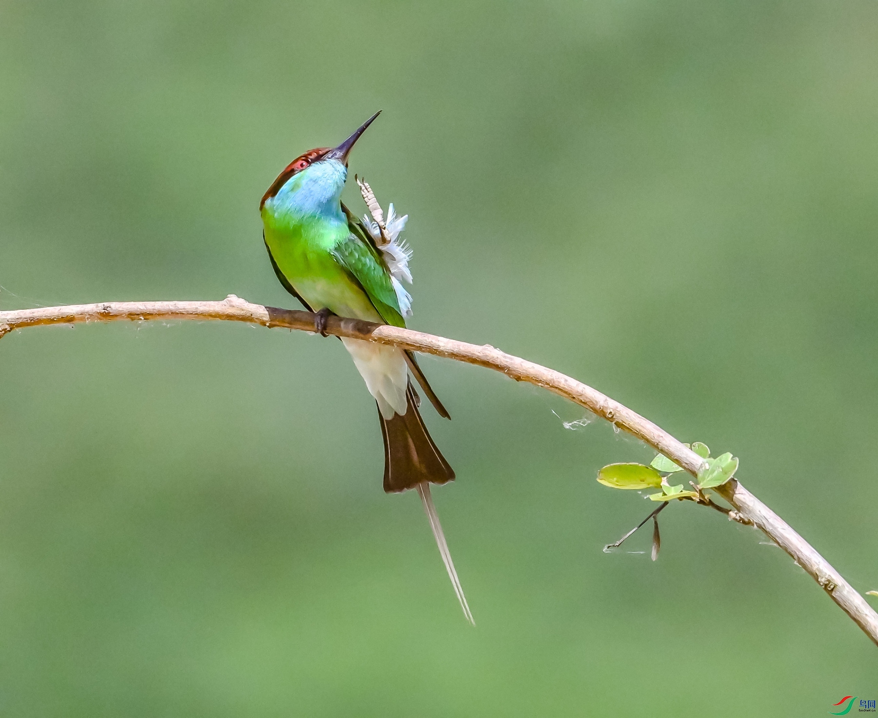 DSC_8701---_conew1.jpg