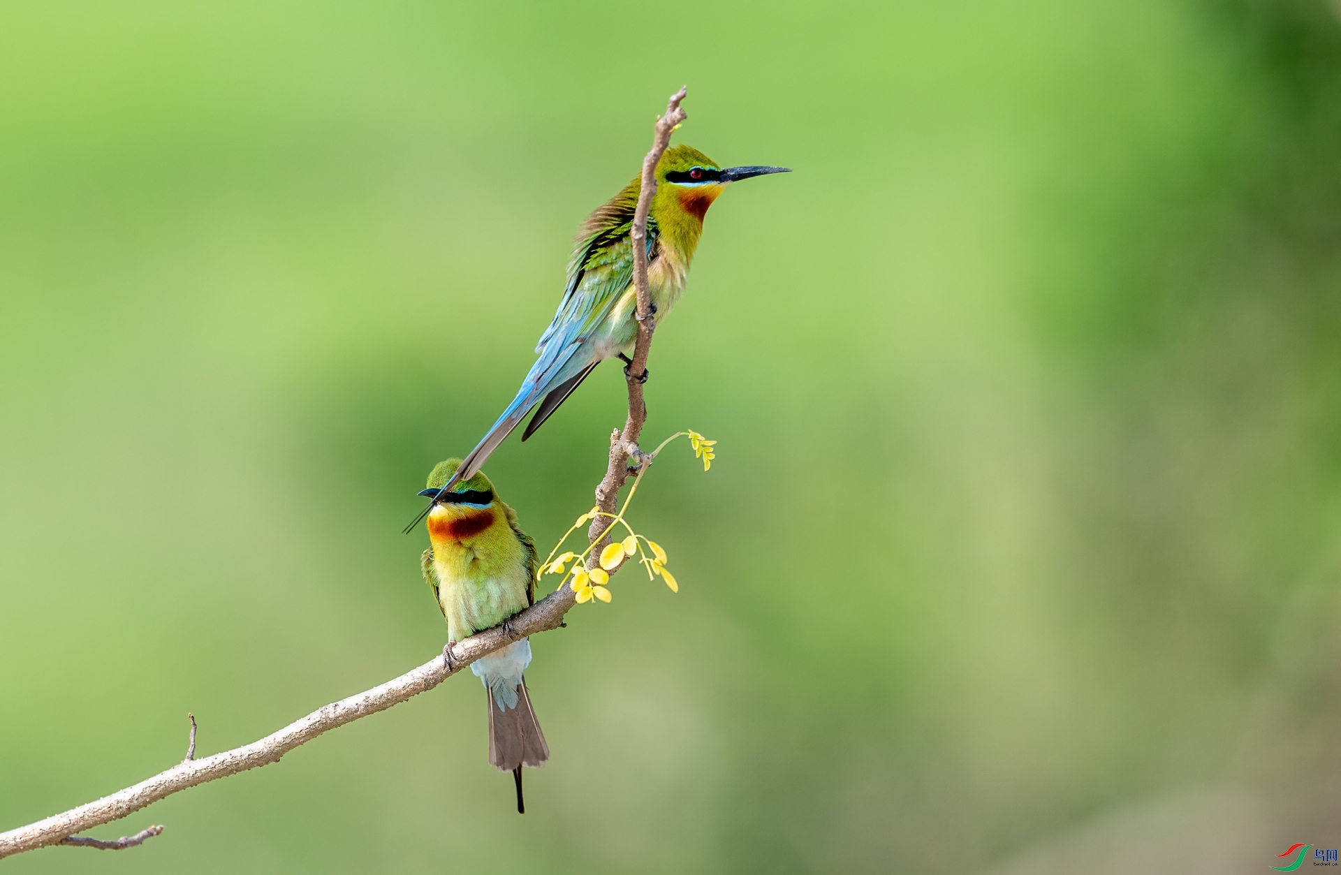 DSC_7674-1.jpg