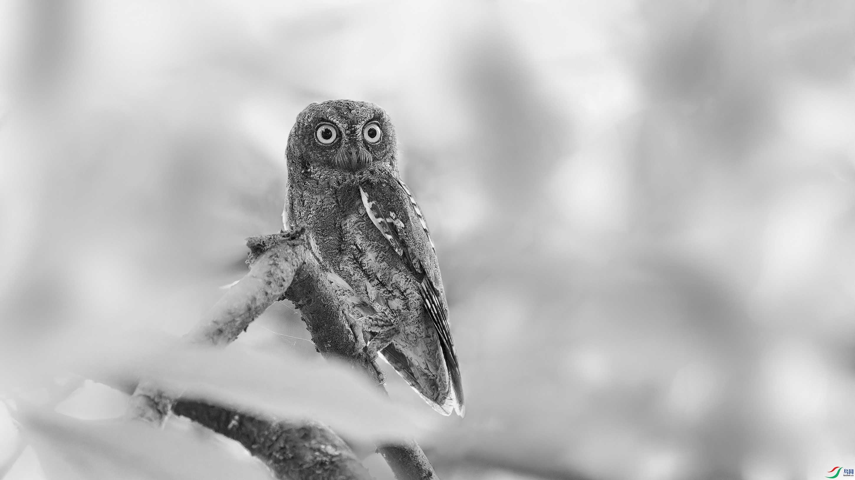 DSC_3107_DxO.jpg