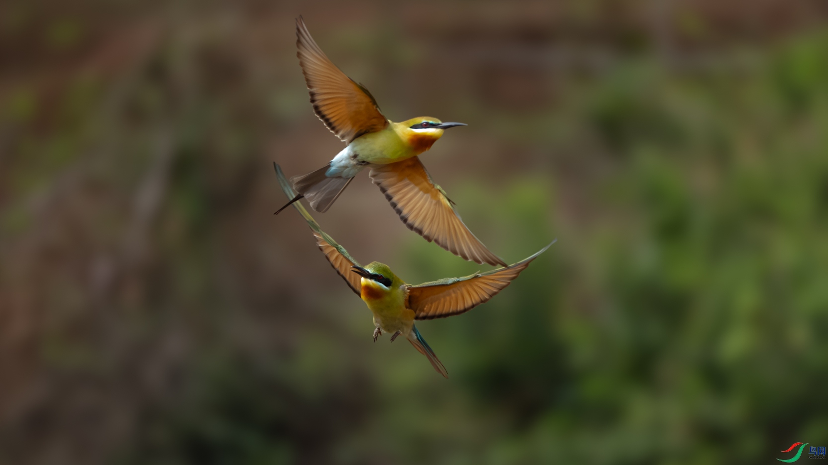 DSC_4551_1.jpg