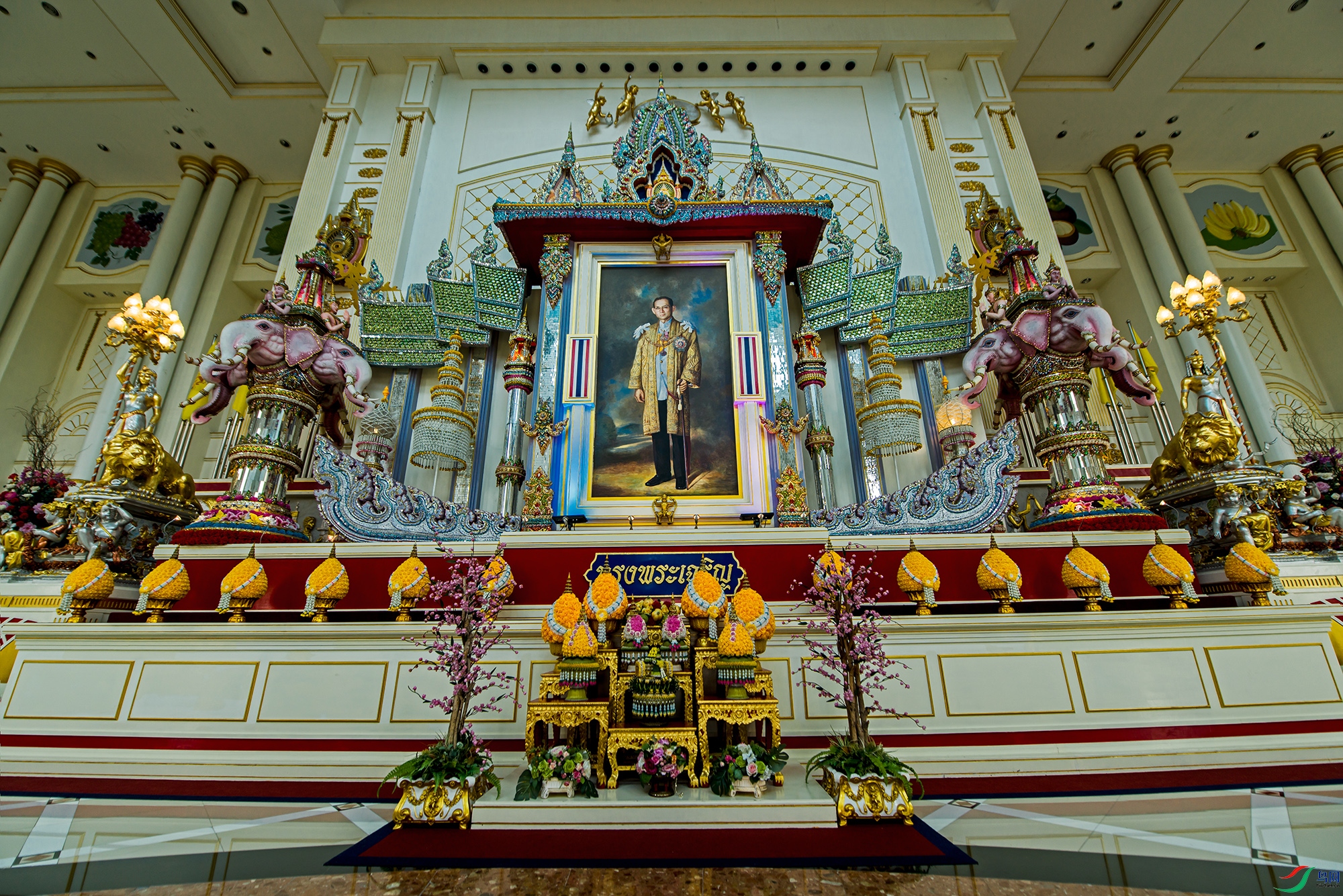DSC_2173a.jpg
