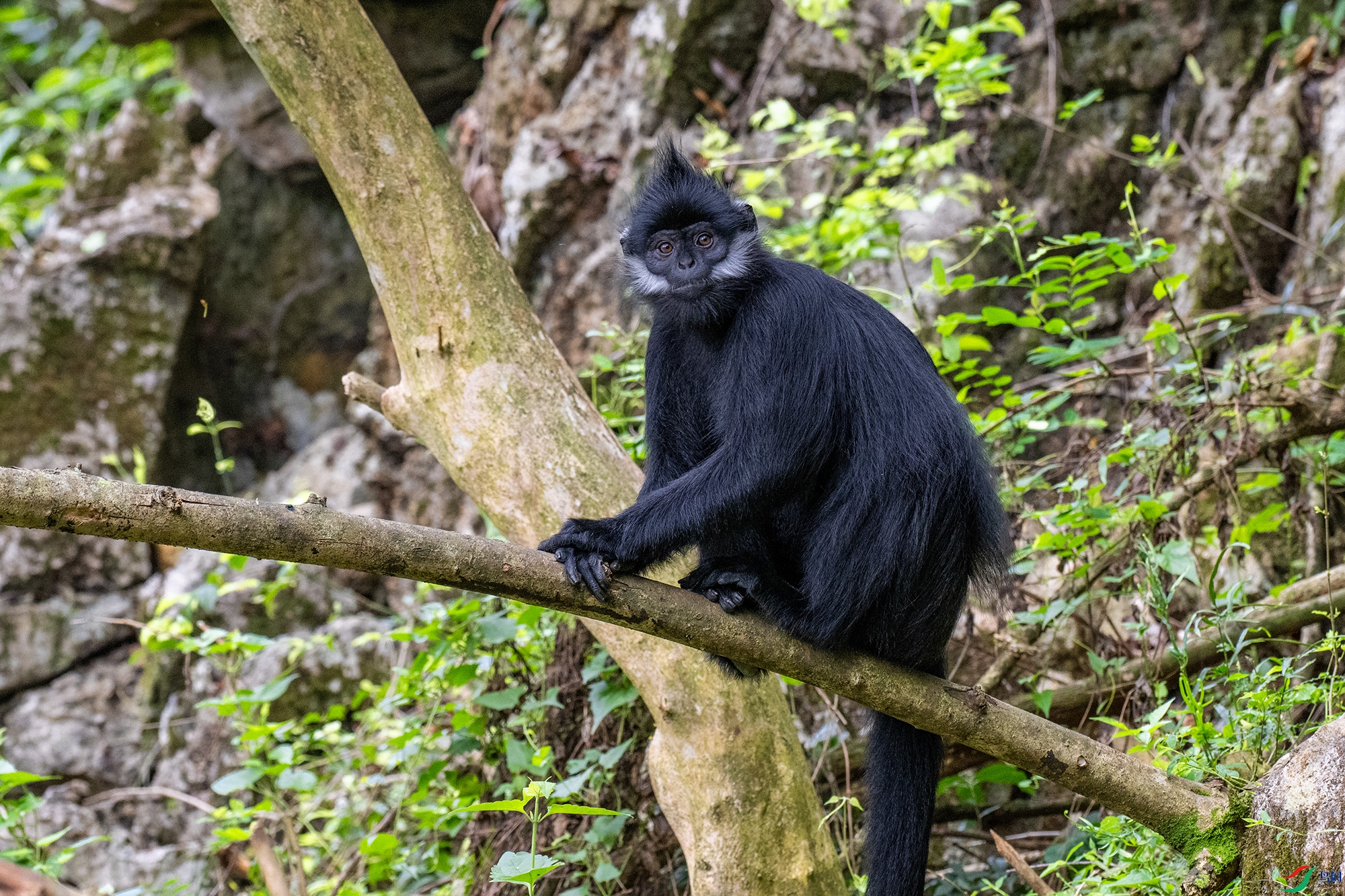 DSC_1430-1.jpg
