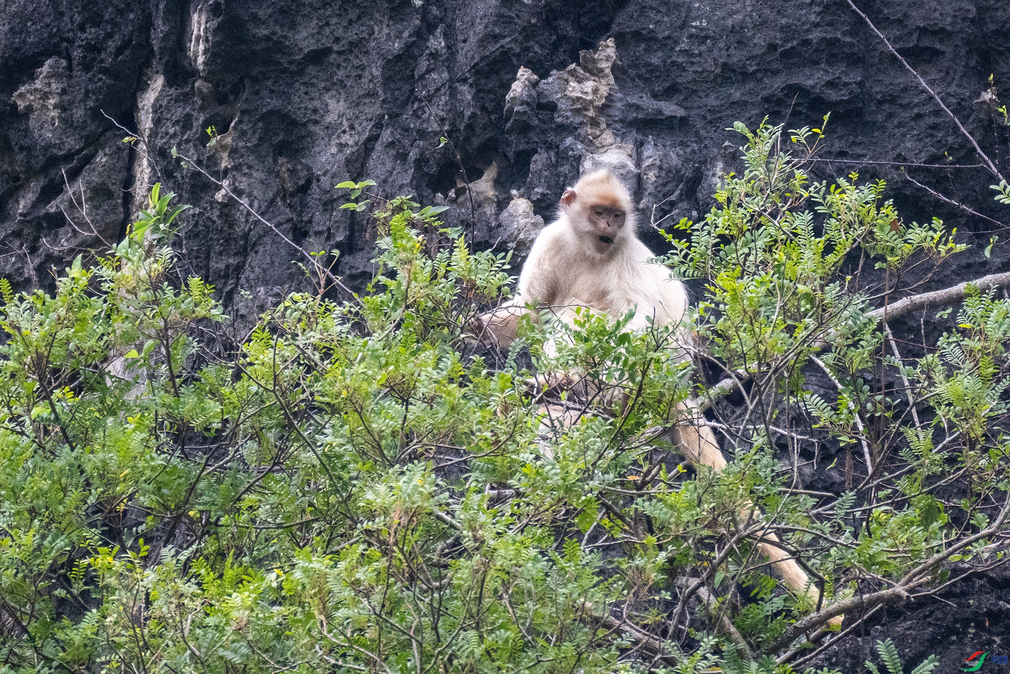 DSC_1821-1.jpg