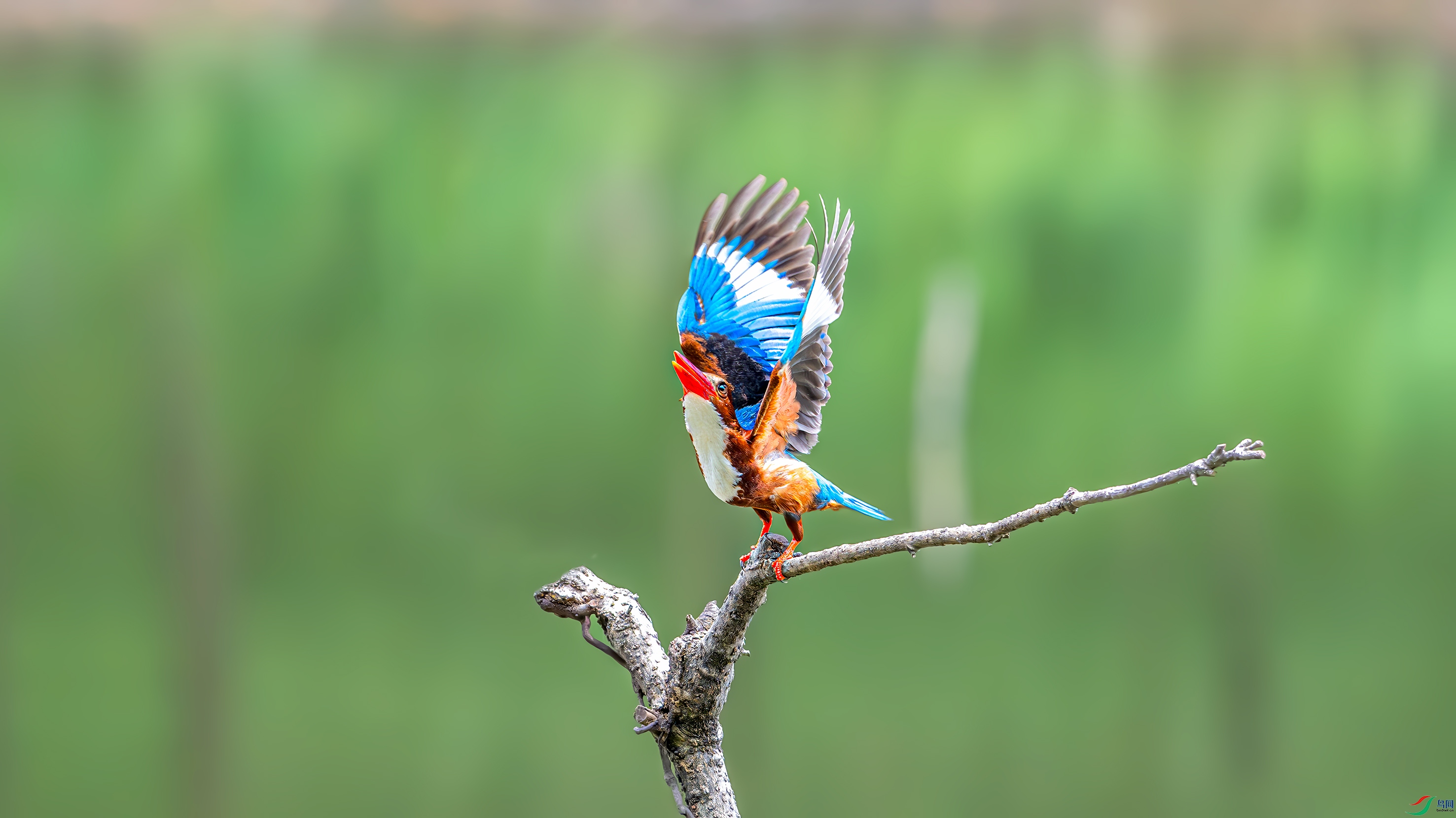 DSC_2330.jpg