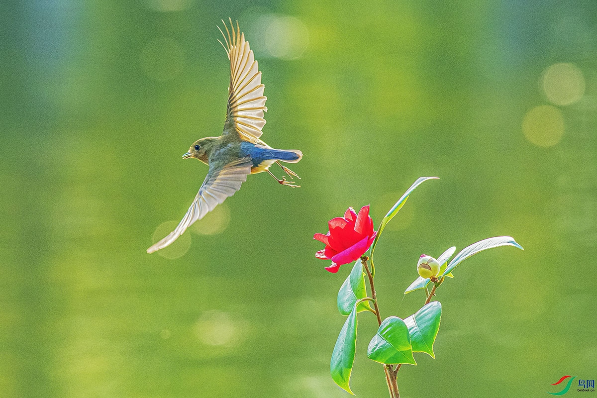 DSC_8226-����ǿ.jpg
