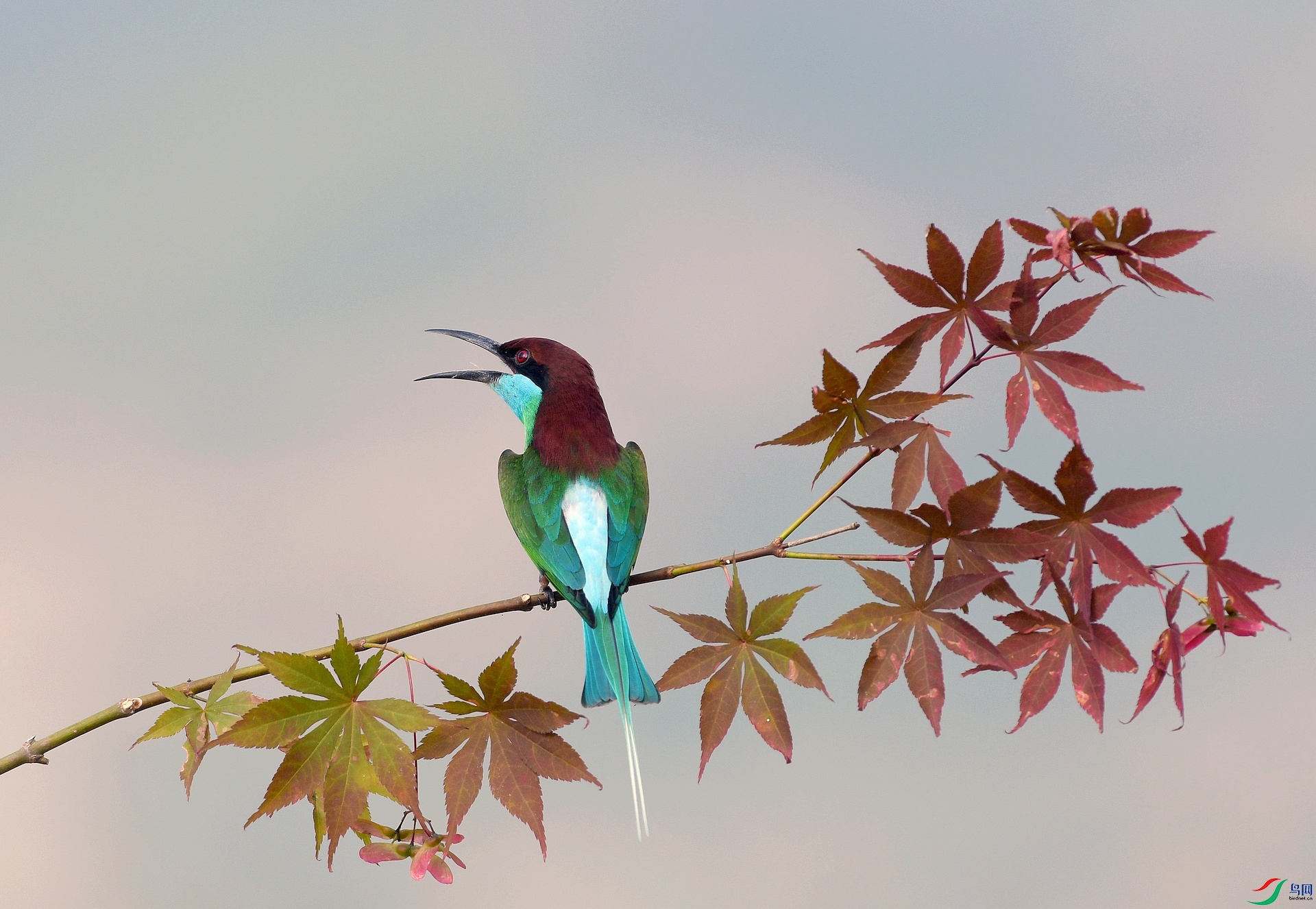 DSC_5164.jpg